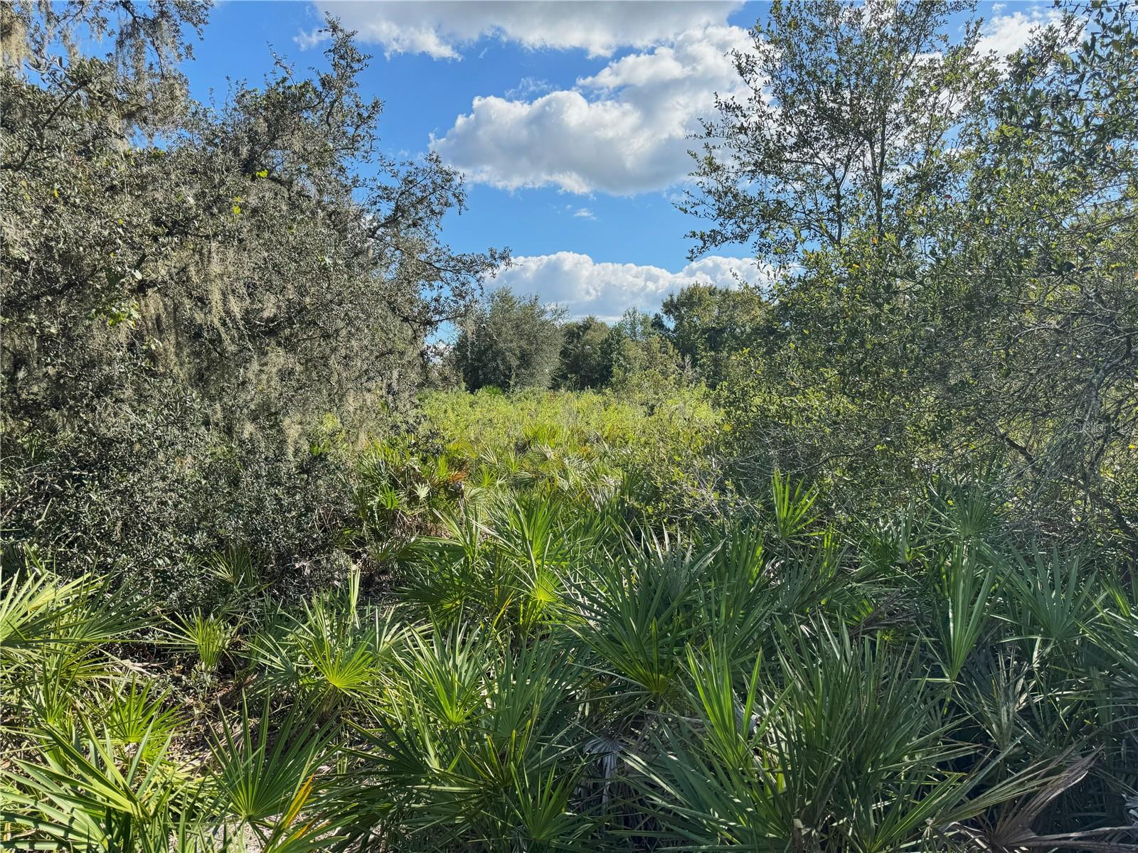 0 ALTURAS BABSON PARK CUT OFF RD, BARTOW, FL — photo 7