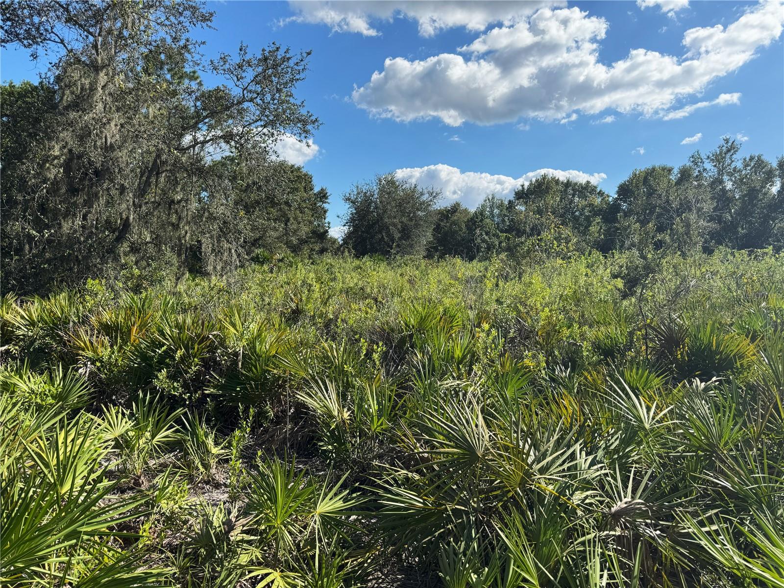 0 ALTURAS BABSON PARK CUT OFF RD, BARTOW, FL — photo 8