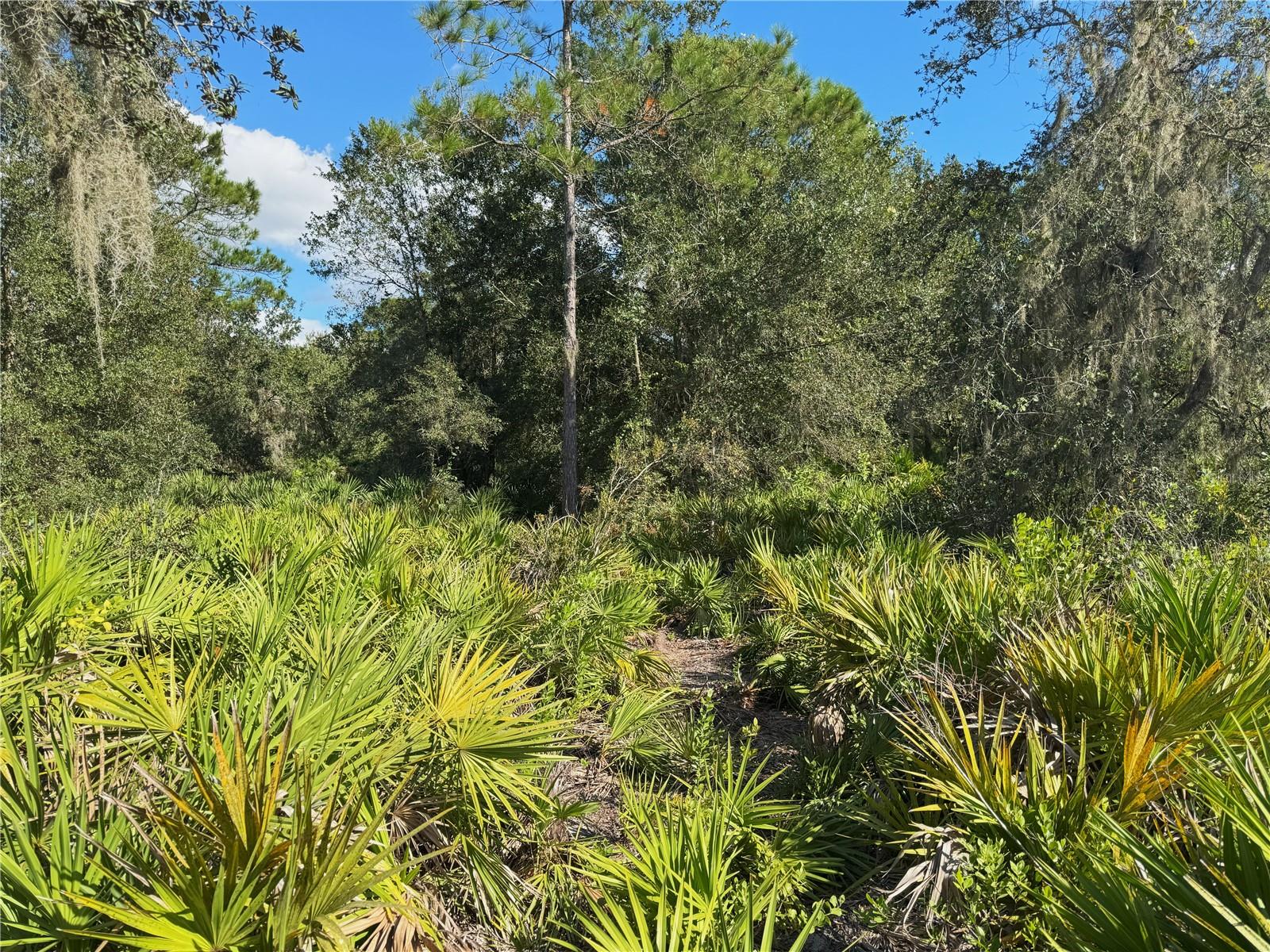 0 ALTURAS BABSON PARK CUT OFF RD, BARTOW, FL — photo 9