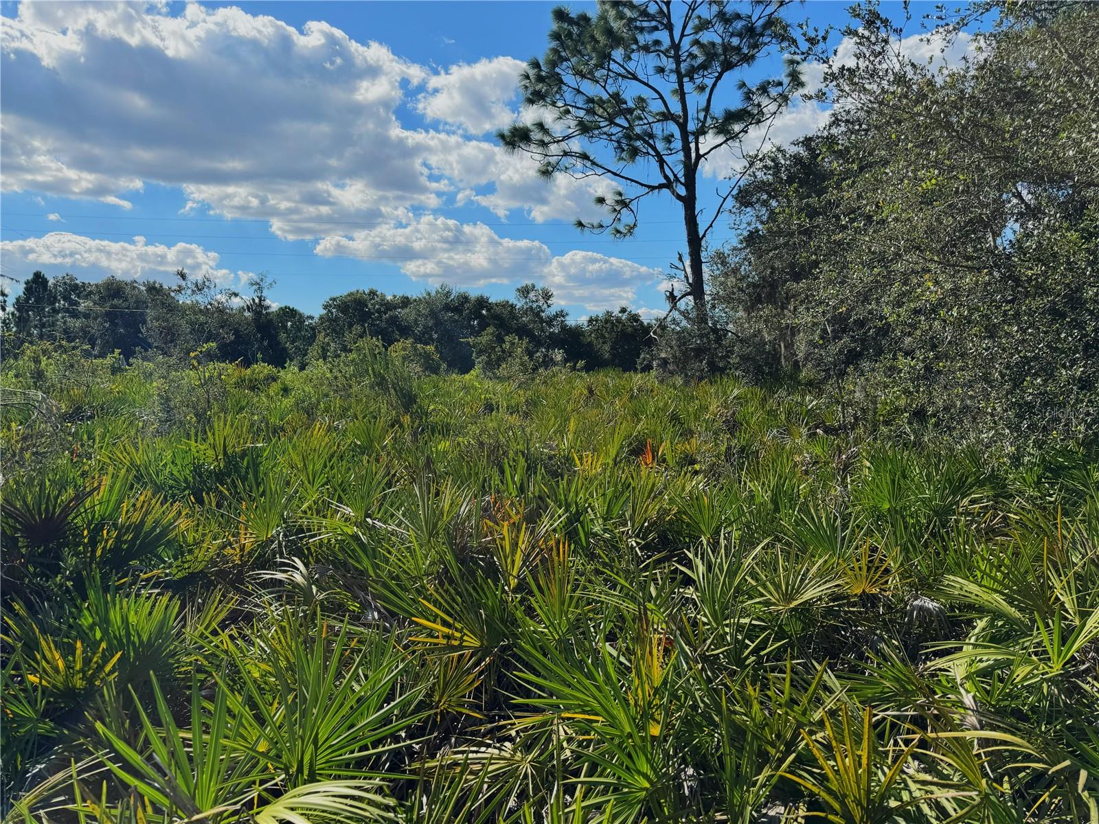 0 ALTURAS BABSON PARK CUT OFF RD, BARTOW, FL — photo 10