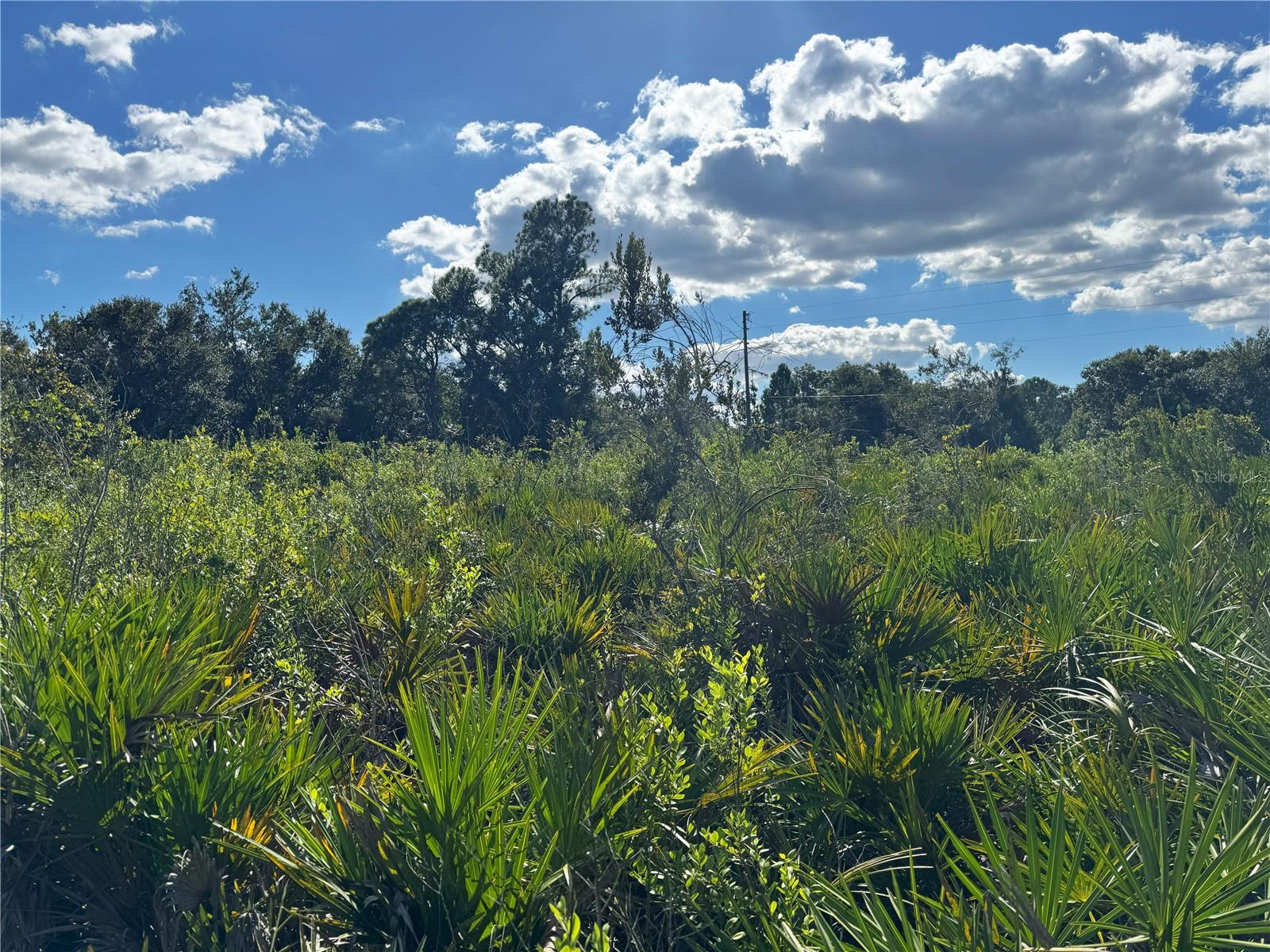 0 ALTURAS BABSON PARK CUT OFF RD, BARTOW, FL — photo 11