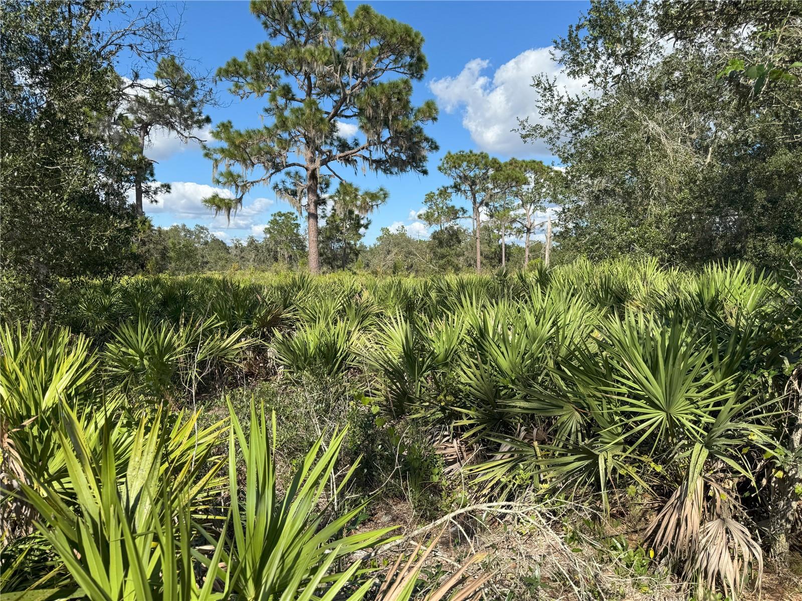 0 ALTURAS BABSON PARK CUT OFF RD, BARTOW, FL — photo 12
