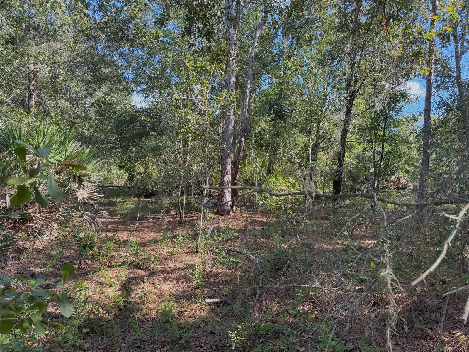 0 ALTURAS BABSON PARK CUT OFF RD, BARTOW, FL — photo 13