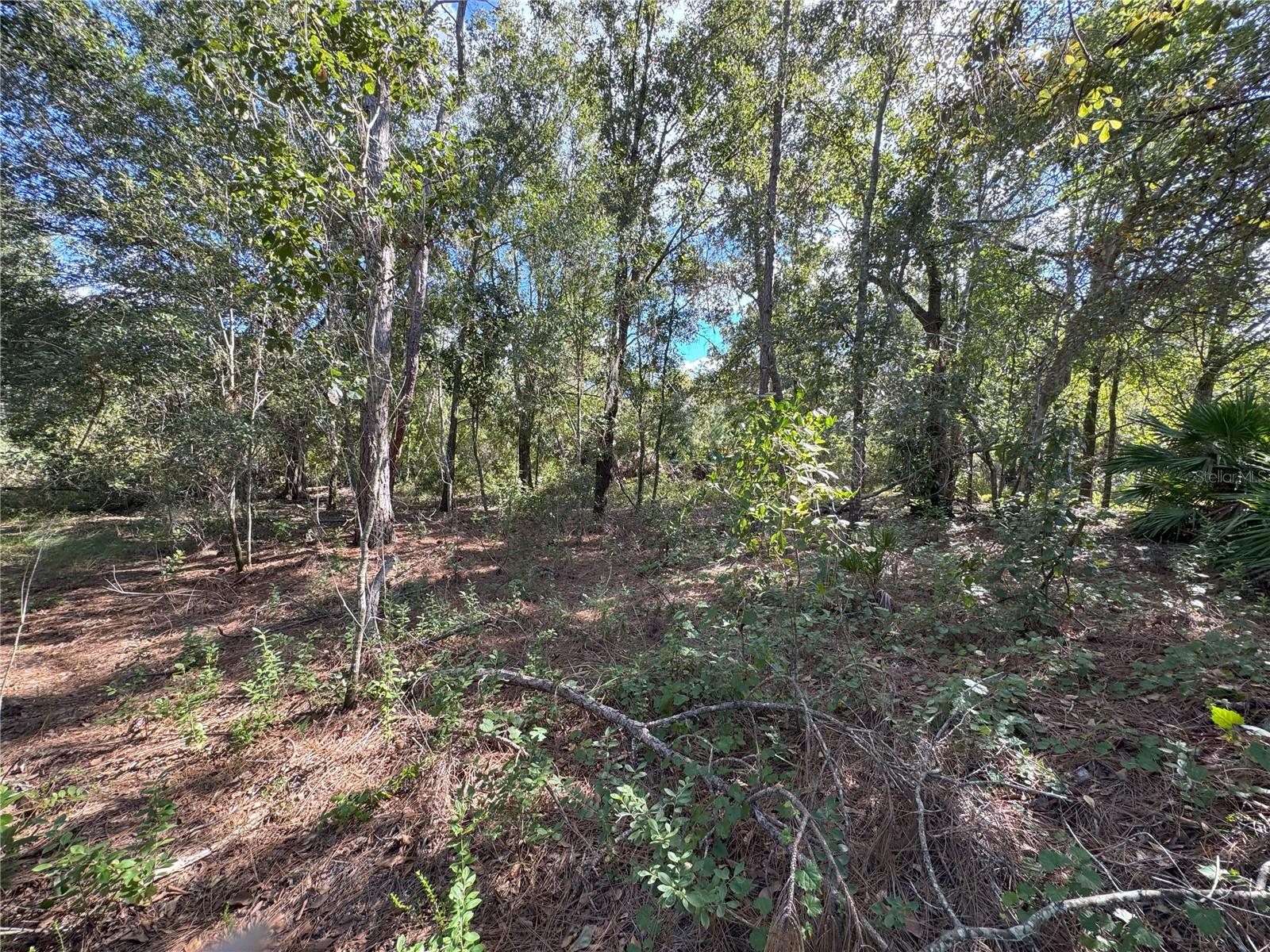 0 ALTURAS BABSON PARK CUT OFF RD, BARTOW, FL — photo 14