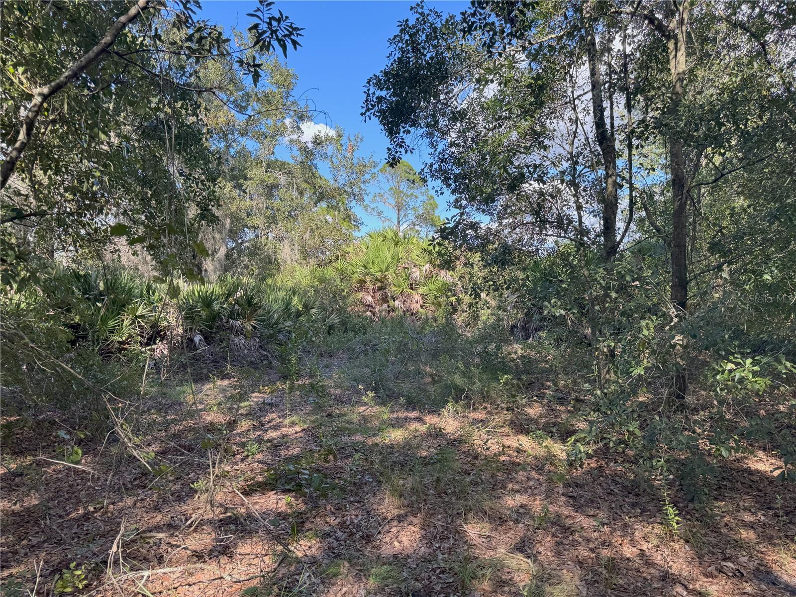 0 ALTURAS BABSON PARK CUT OFF RD, BARTOW, FL — photo 15