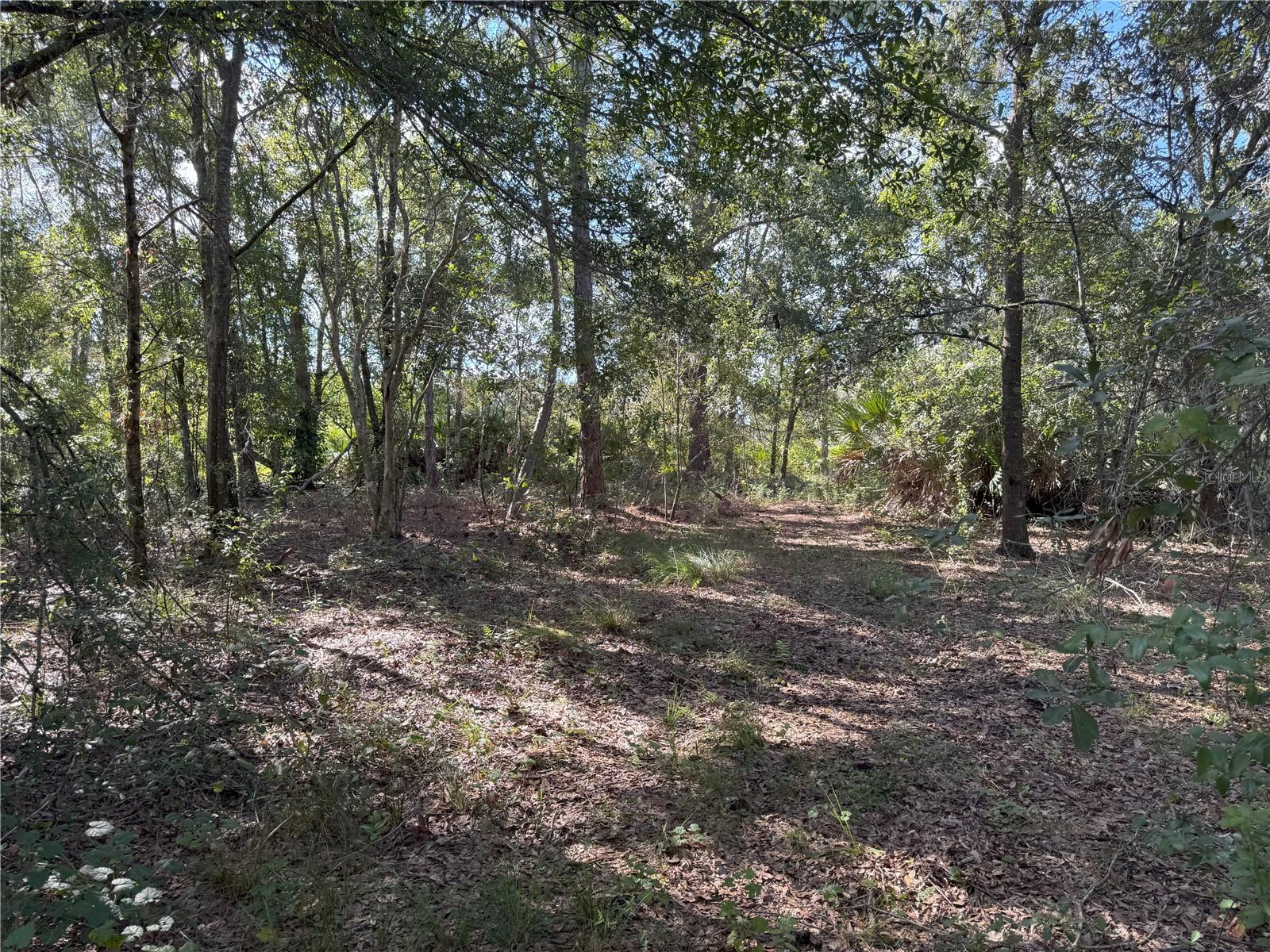 0 ALTURAS BABSON PARK CUT OFF RD, BARTOW, FL — photo 16