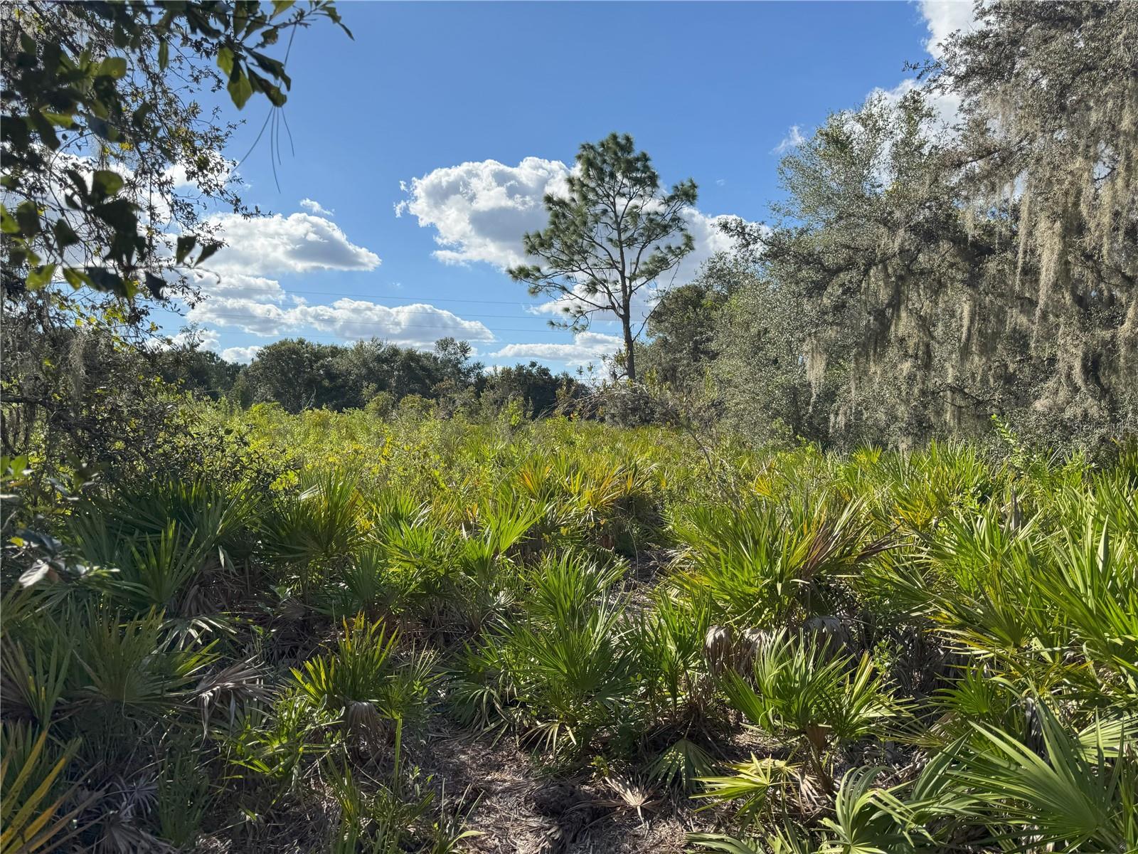 0 ALTURAS BABSON PARK CUT OFF RD, BARTOW, FL — photo 18