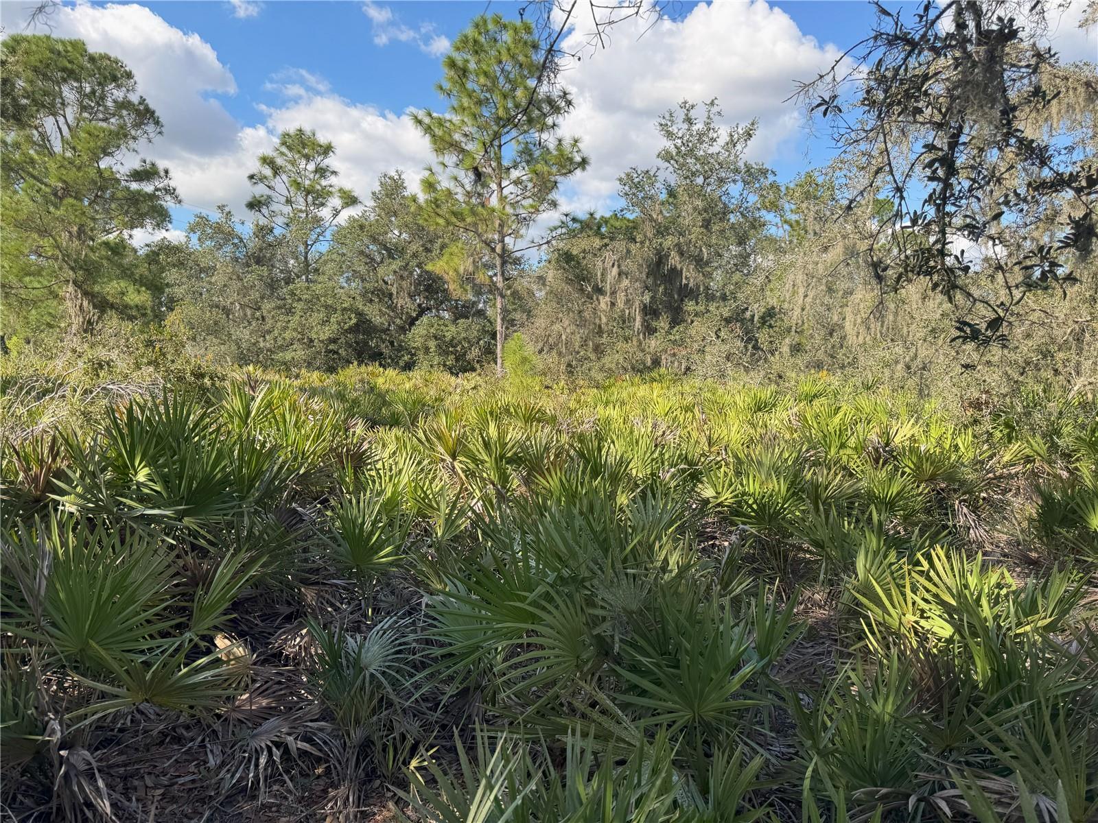 0 ALTURAS BABSON PARK CUT OFF RD, BARTOW, FL — photo 19