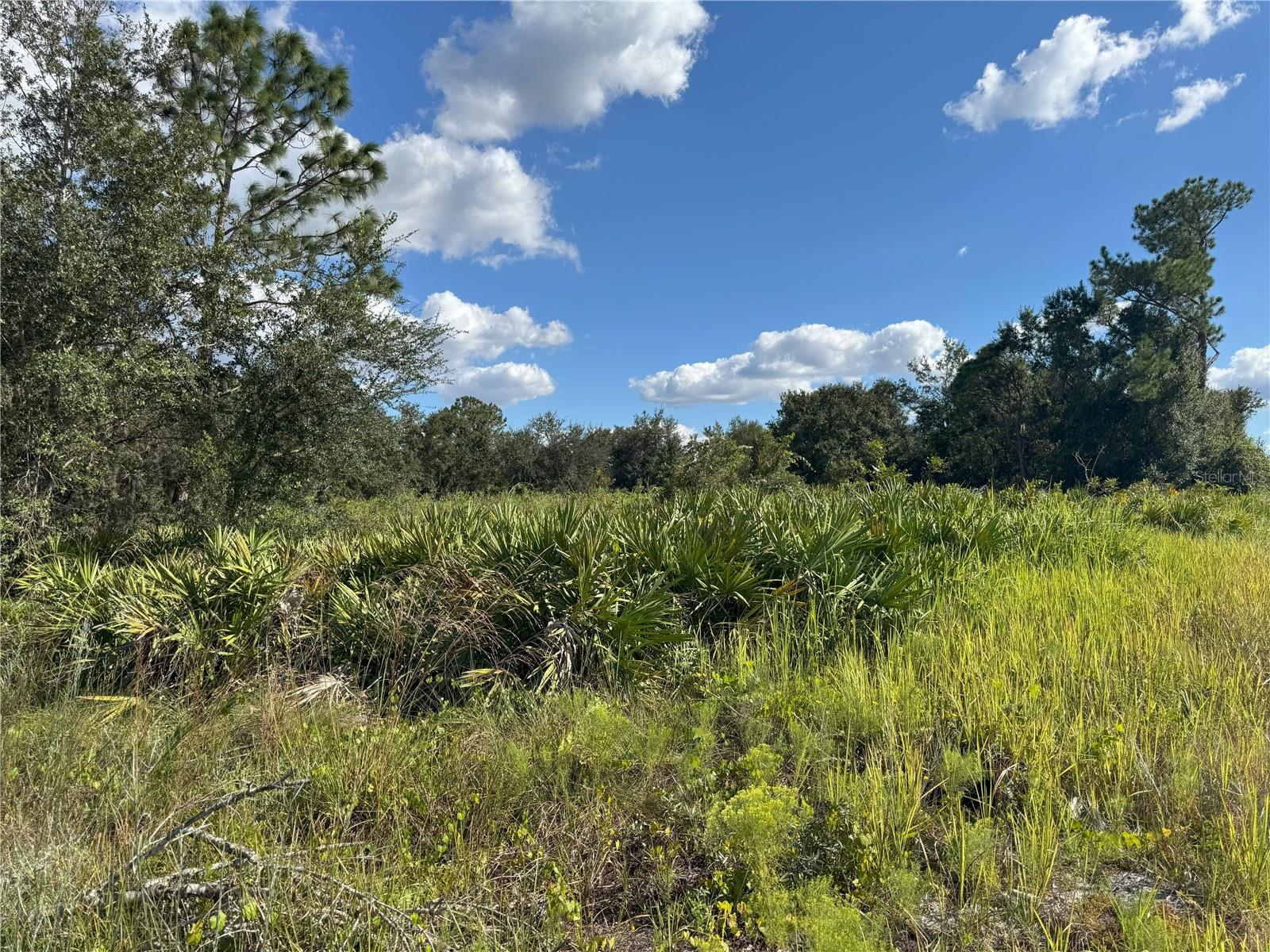 0 ALTURAS BABSON PARK CUT OFF RD, BARTOW, FL — photo 20