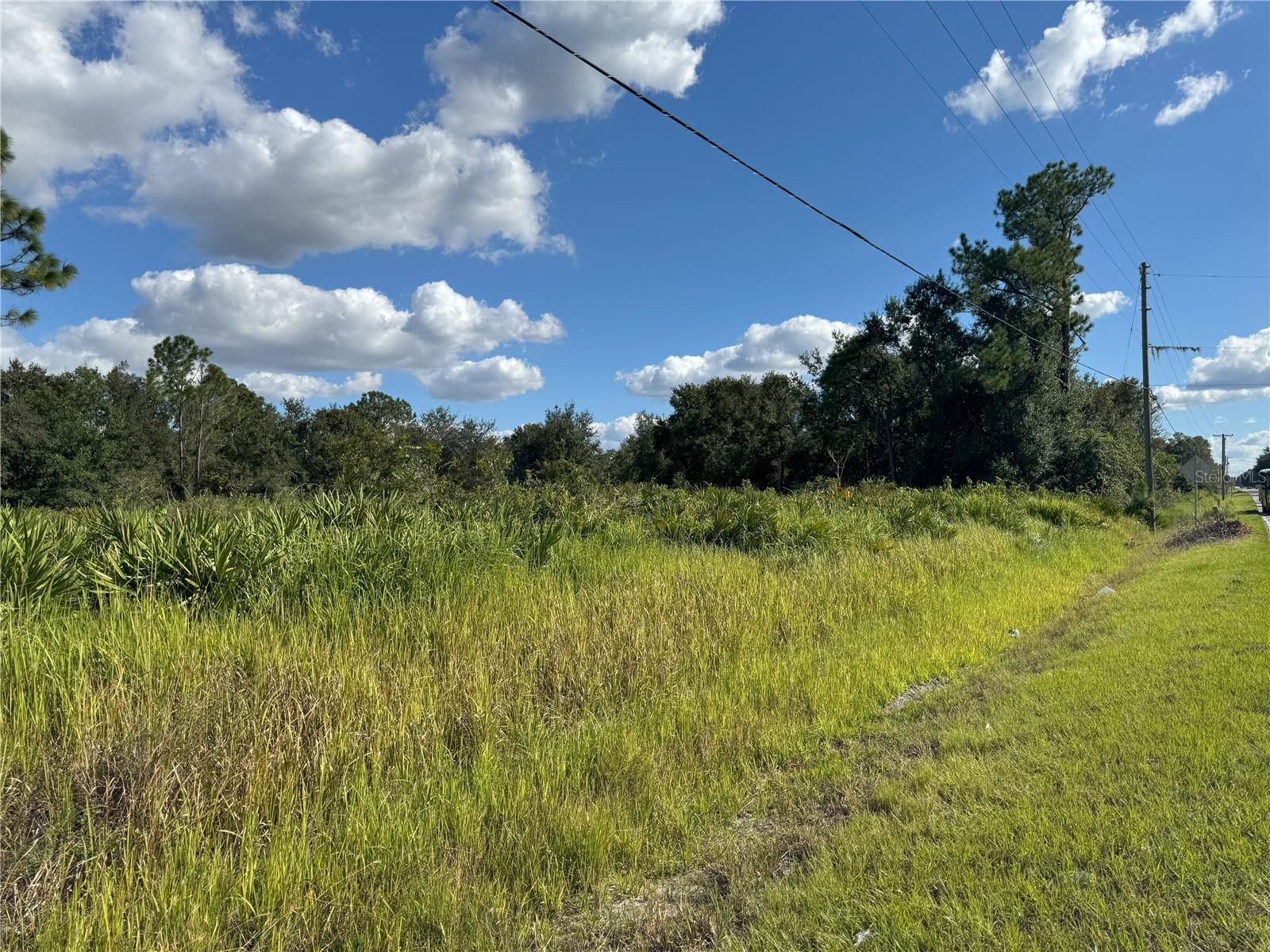 0 ALTURAS BABSON PARK CUT OFF RD, BARTOW, FL — photo 21