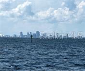 611 DESTINY DR #501, RUSKIN, FL — photo 24