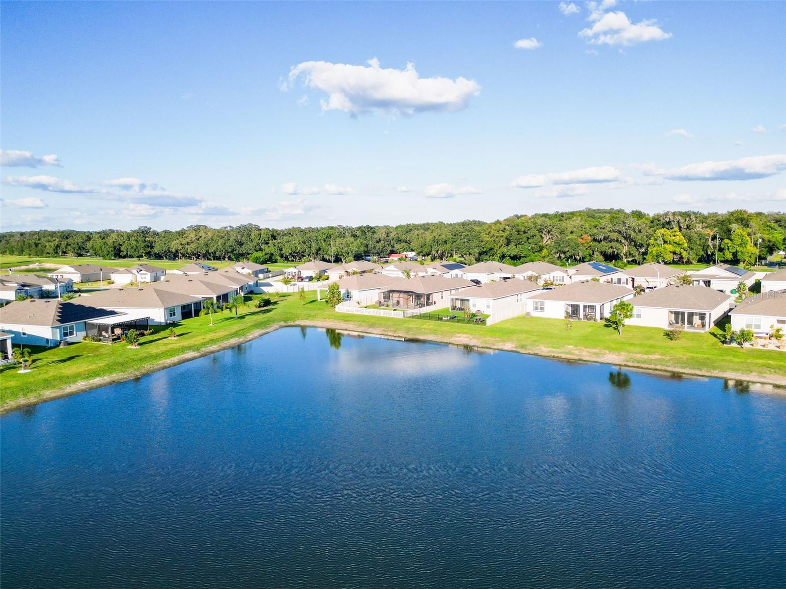 8349 WHEAT STONE DR, ZEPHYRHILLS, FL — photo 55
