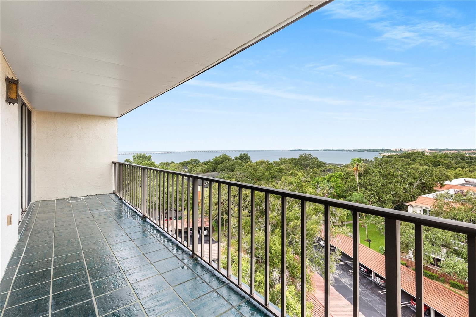 2699 SEVILLE BLVD #802, CLEARWATER, FL — photo 43