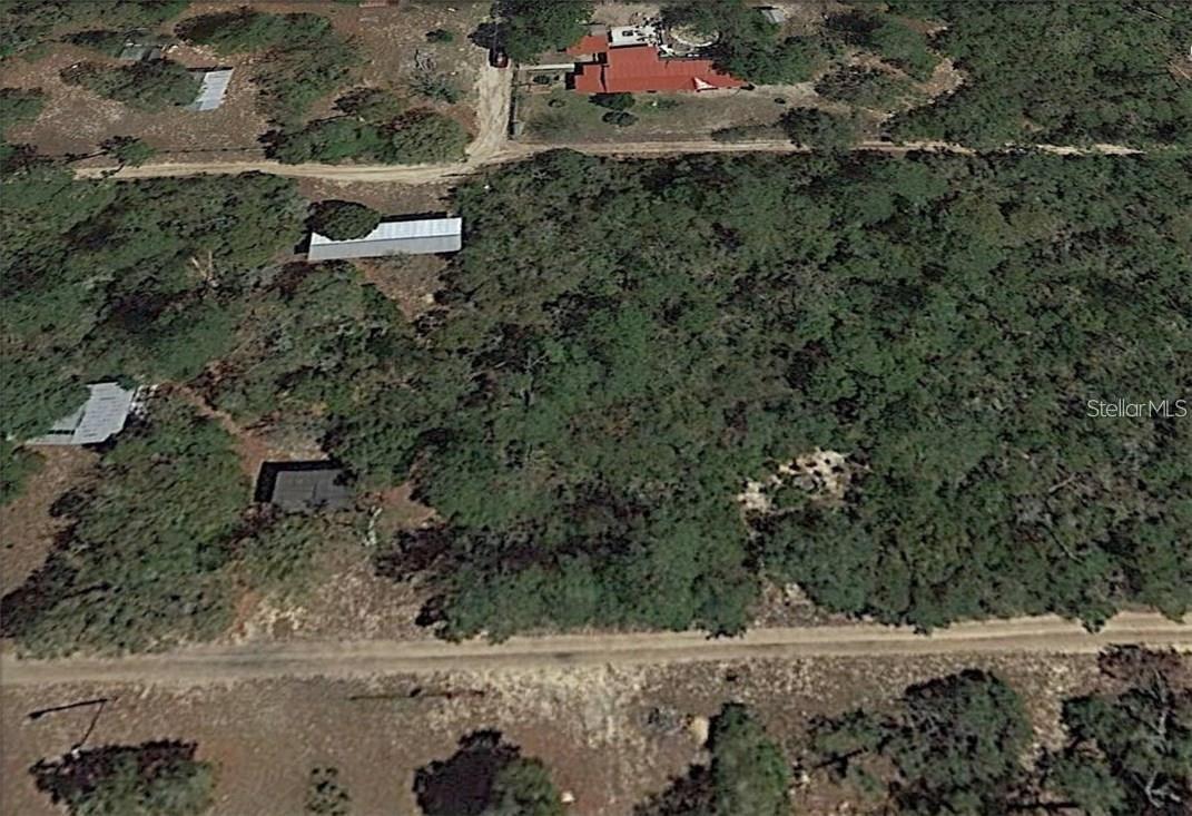 NE 154TH TER, FORT MC COY, FL