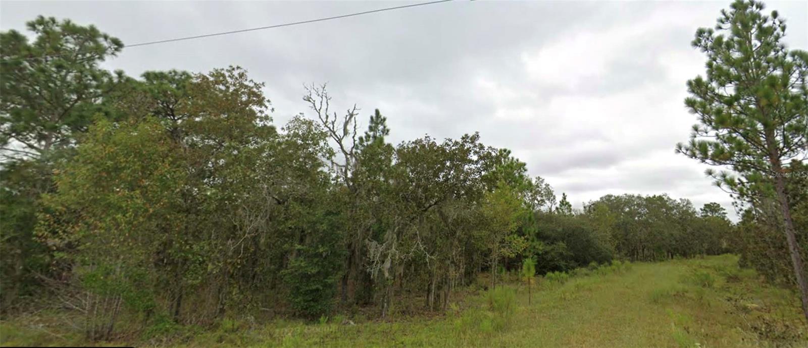 NE 151 TER, WILLISTON, FL