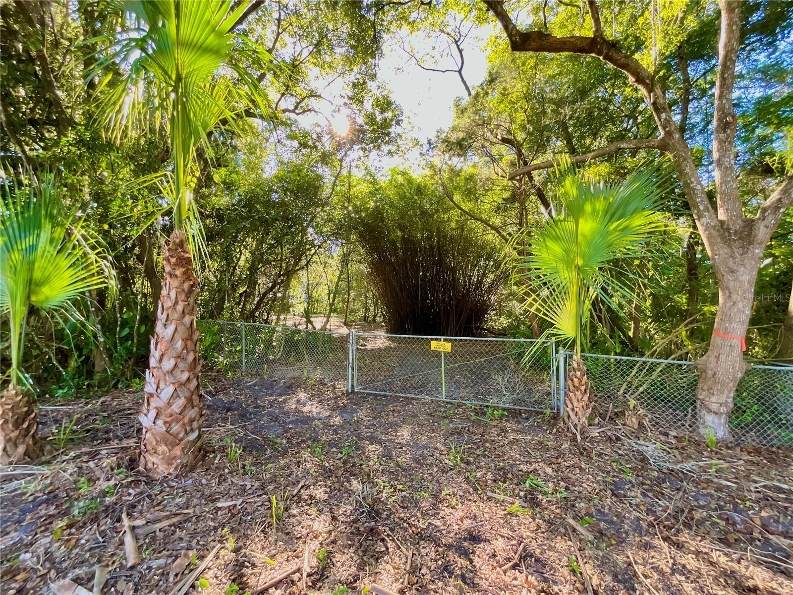 TROUT ST, MELROSE, FL — photo 5