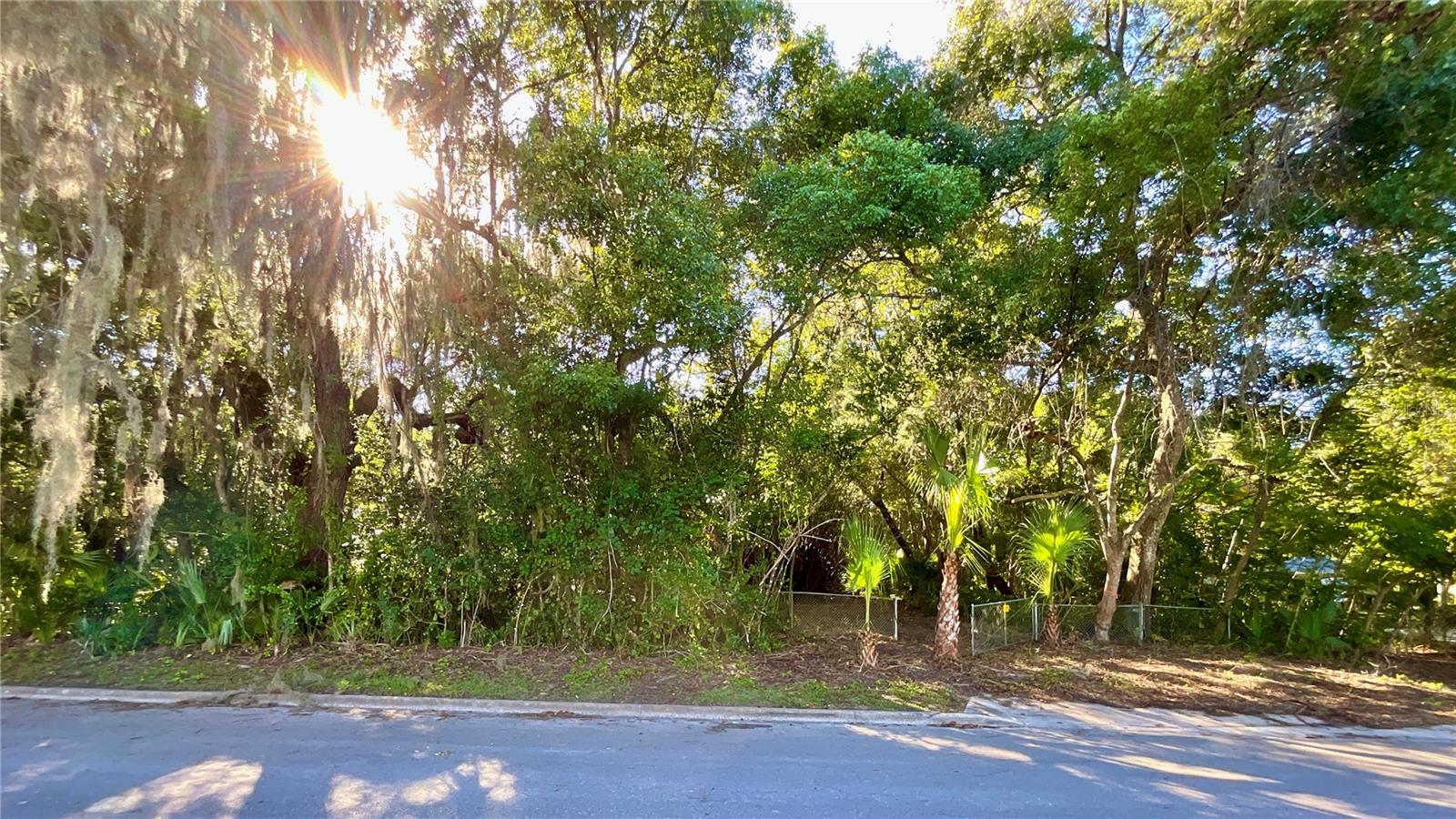 TROUT ST, MELROSE, FL — photo 9