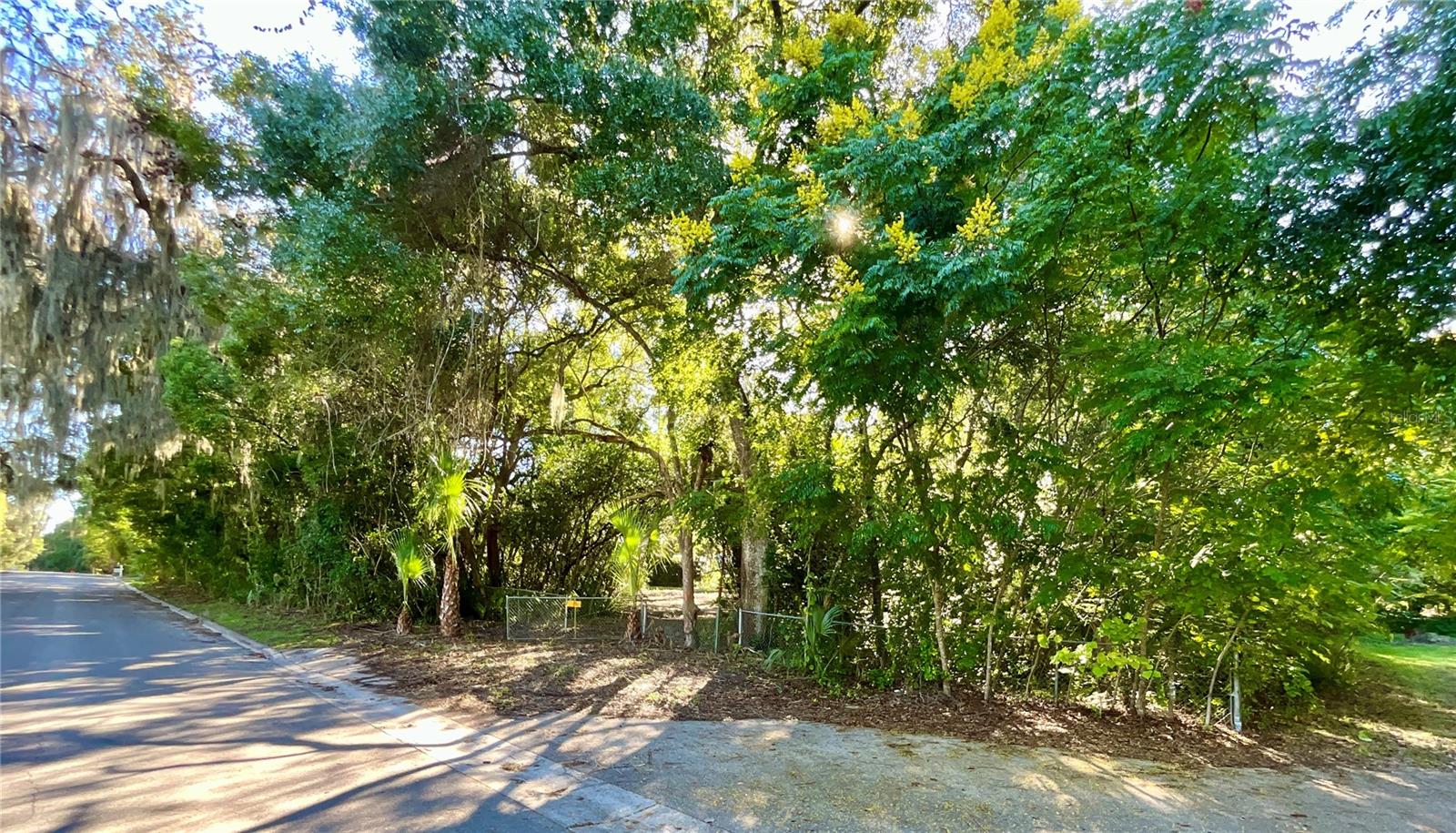TROUT ST, MELROSE, FL — photo 21