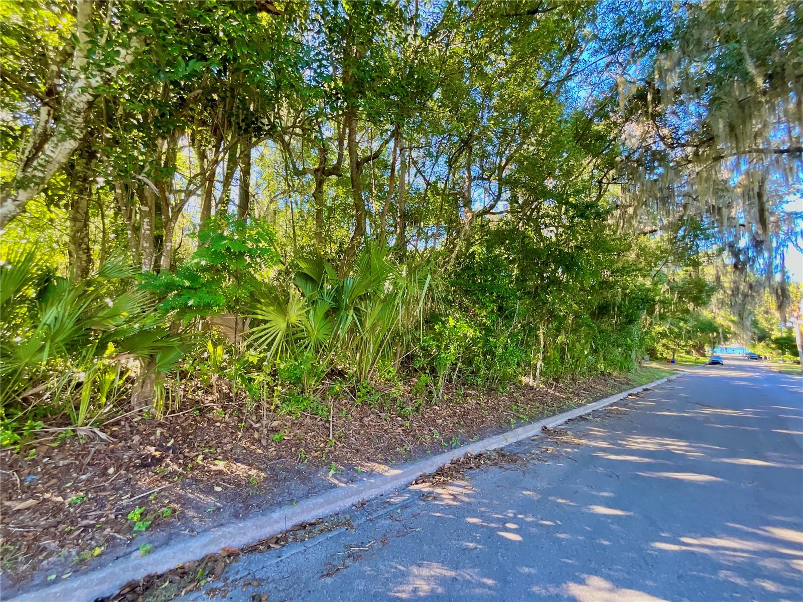 TROUT ST, MELROSE, FL — photo 24