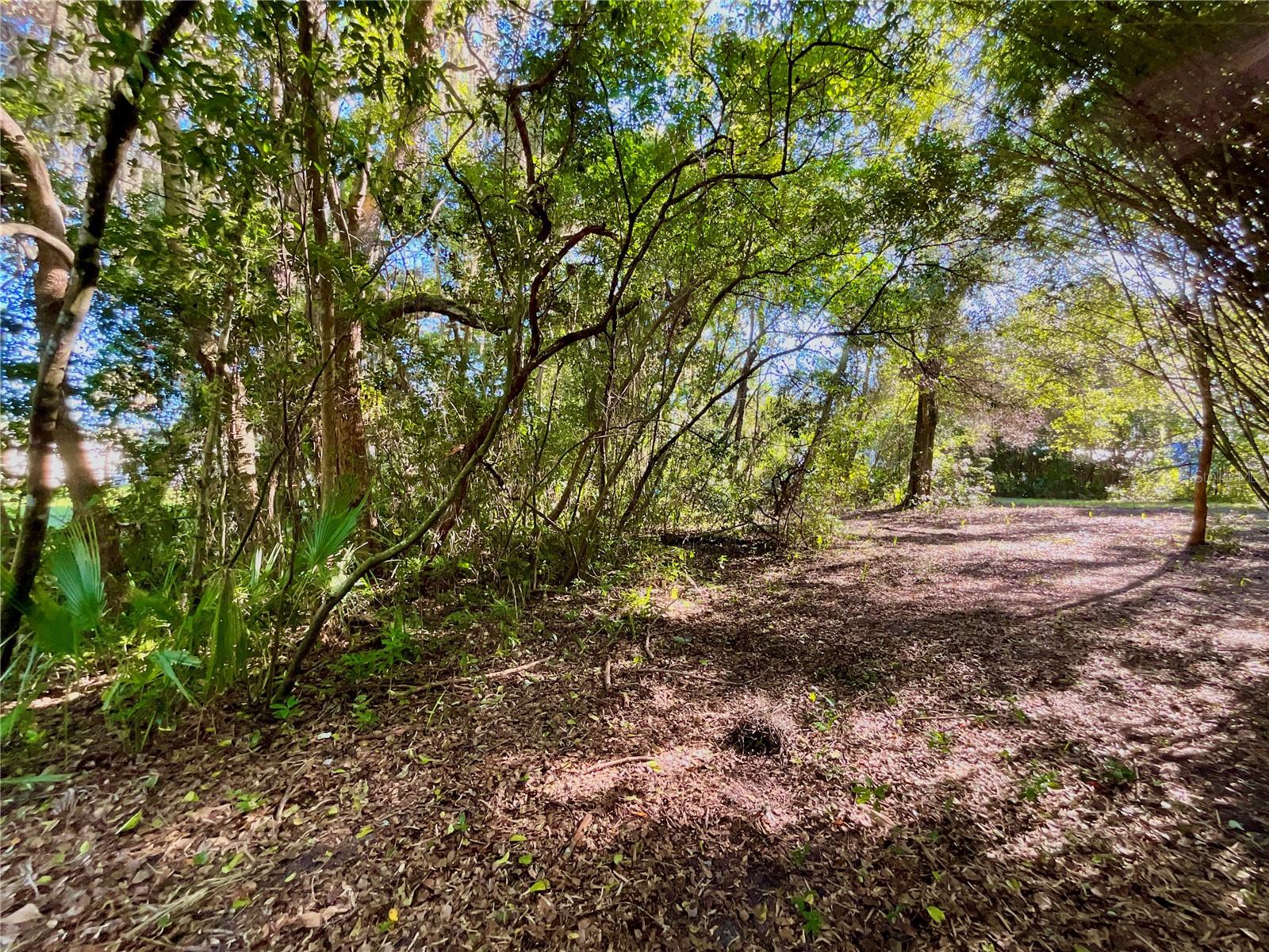 TROUT ST, MELROSE, FL — photo 25