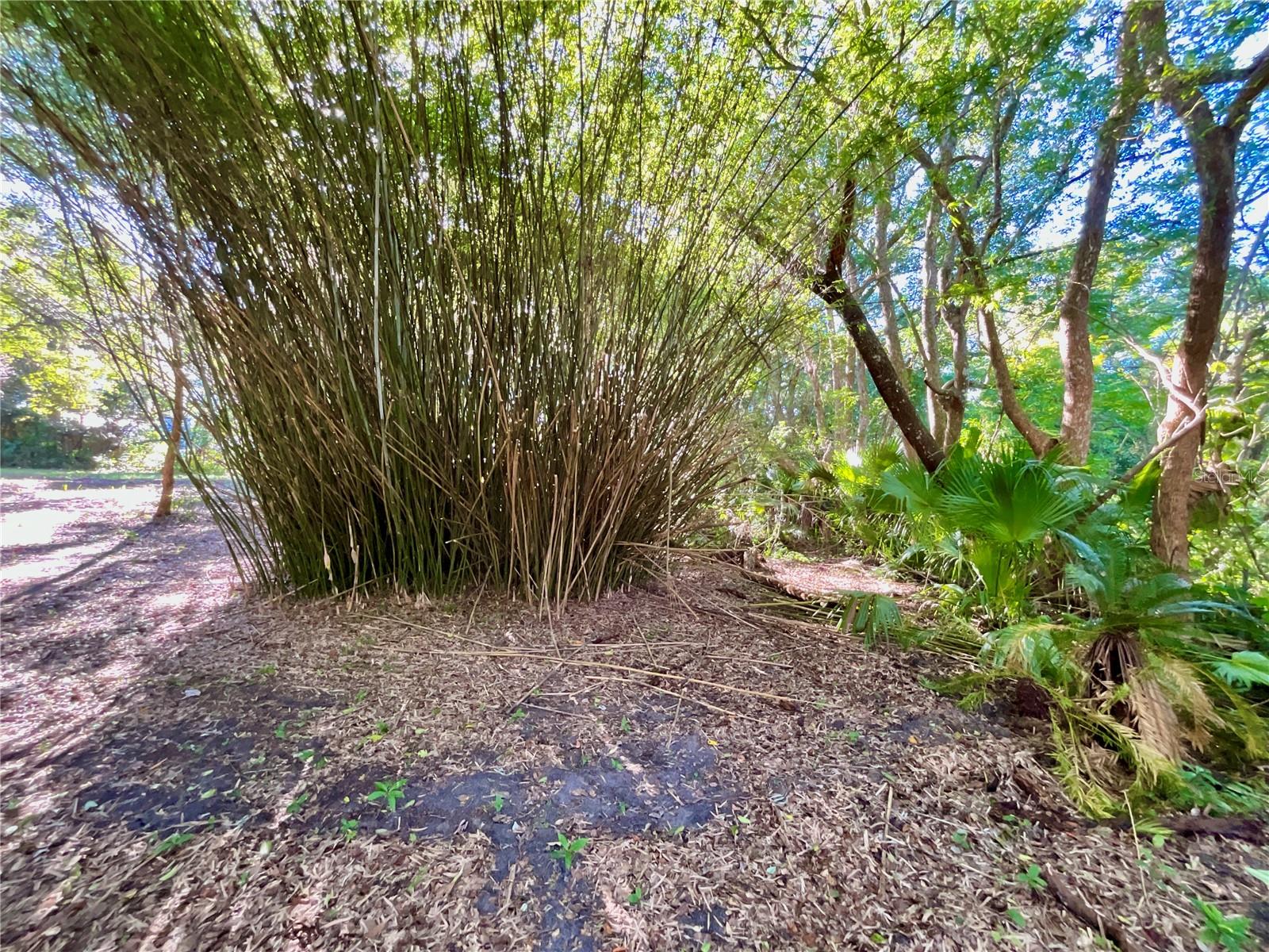 TROUT ST, MELROSE, FL — photo 30