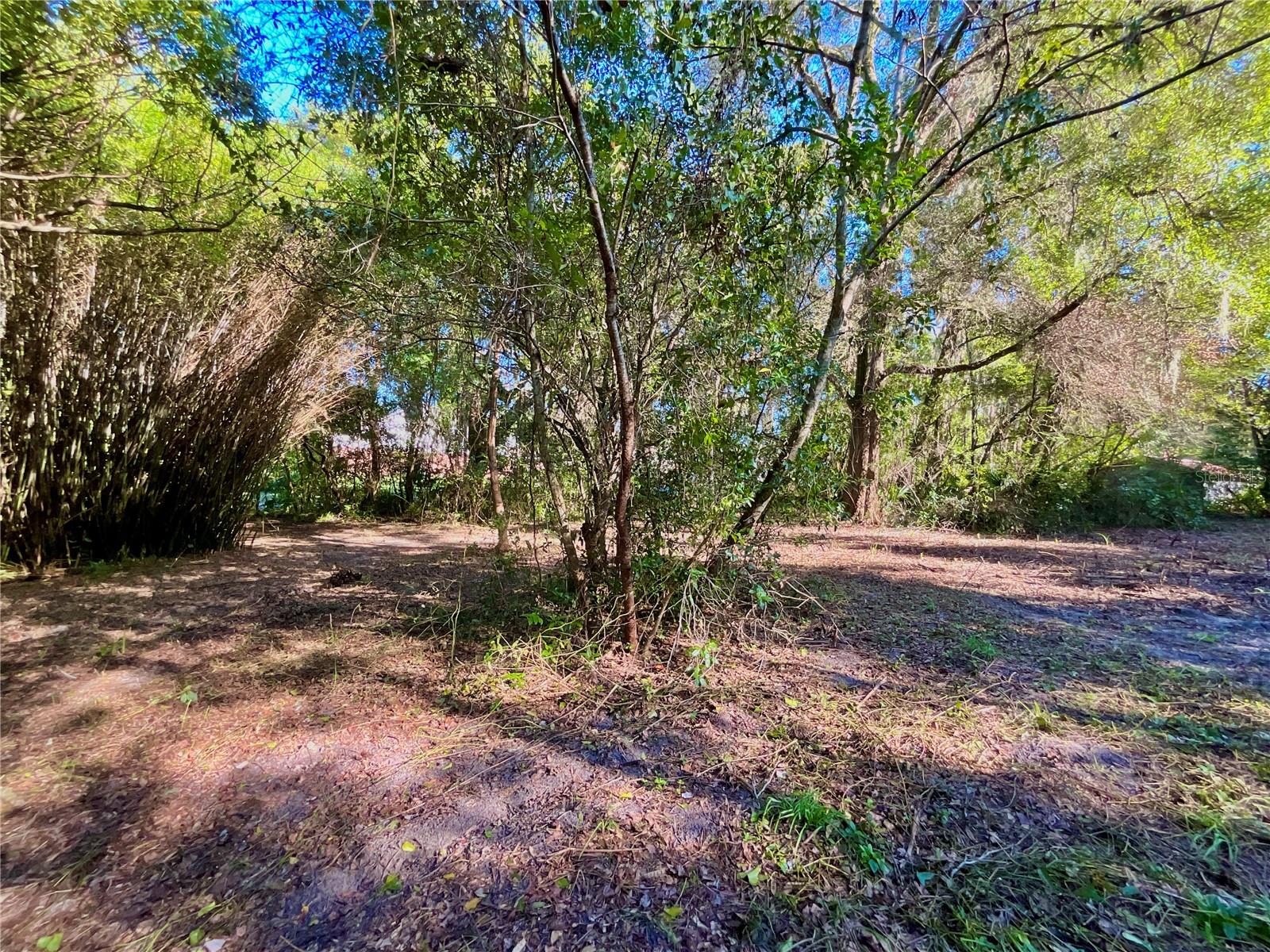 TROUT ST, MELROSE, FL — photo 35