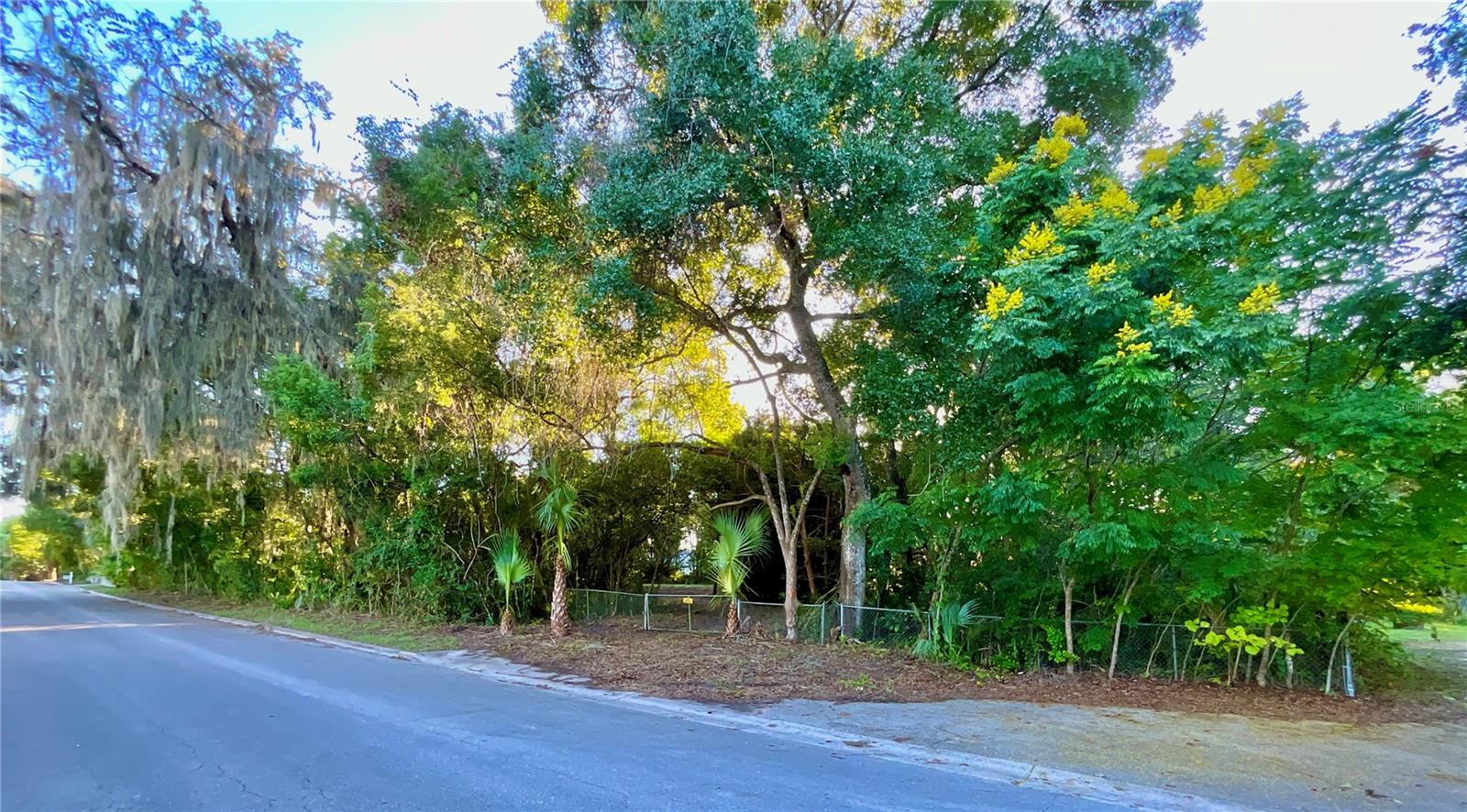 TROUT ST, MELROSE, FL — photo 39
