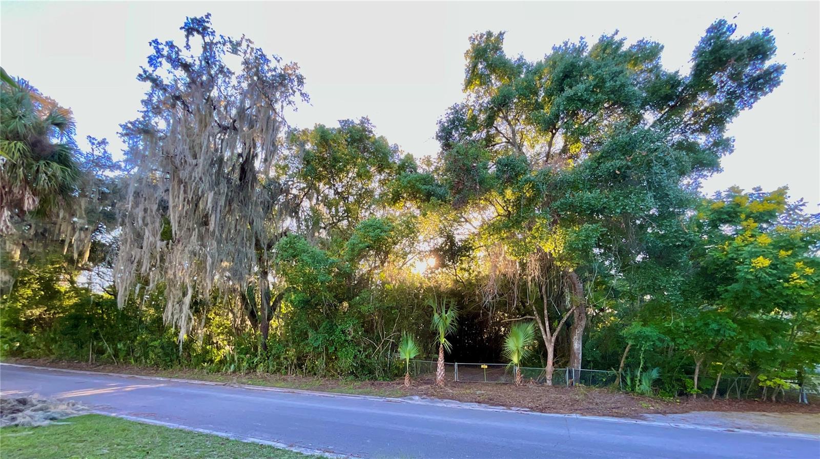 TROUT ST, MELROSE, FL — photo 46