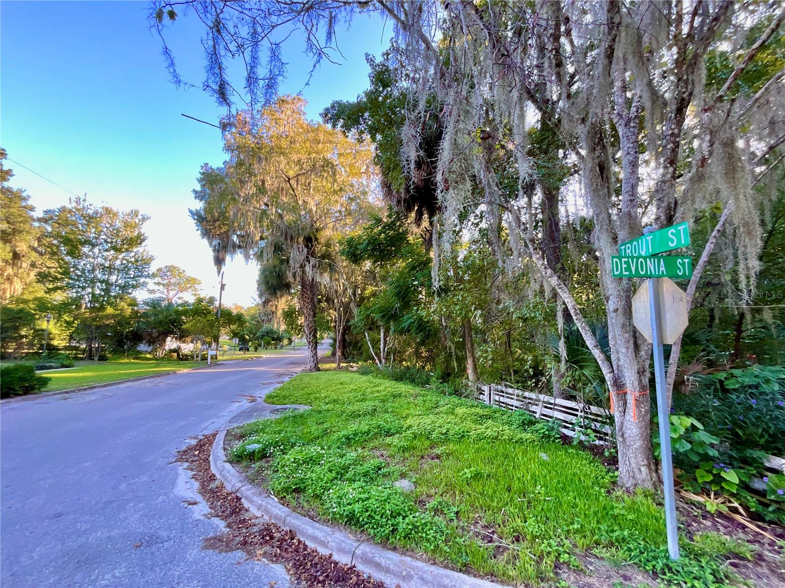 TROUT ST, MELROSE, FL — photo 52