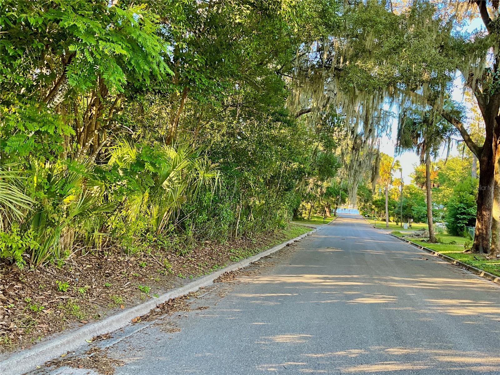 TROUT ST, MELROSE, FL — photo 75