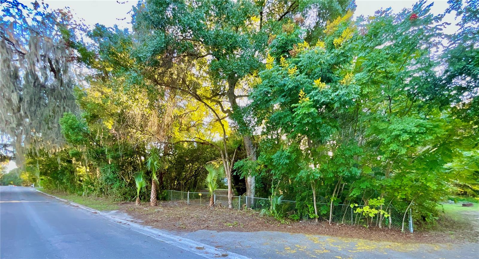 TROUT ST, MELROSE, FL — photo 79