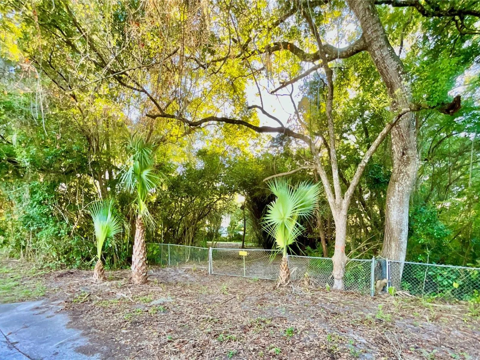 TROUT ST, MELROSE, FL — photo 82