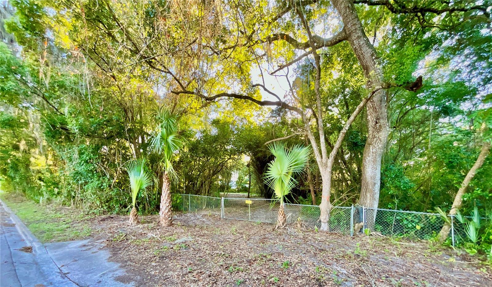 TROUT ST, MELROSE, FL — photo 81