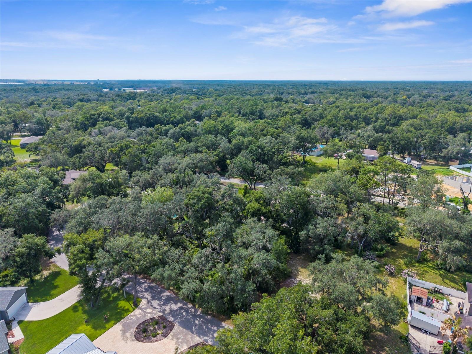 0 SHOREWOOD DR, DADE CITY, FL — photo 5