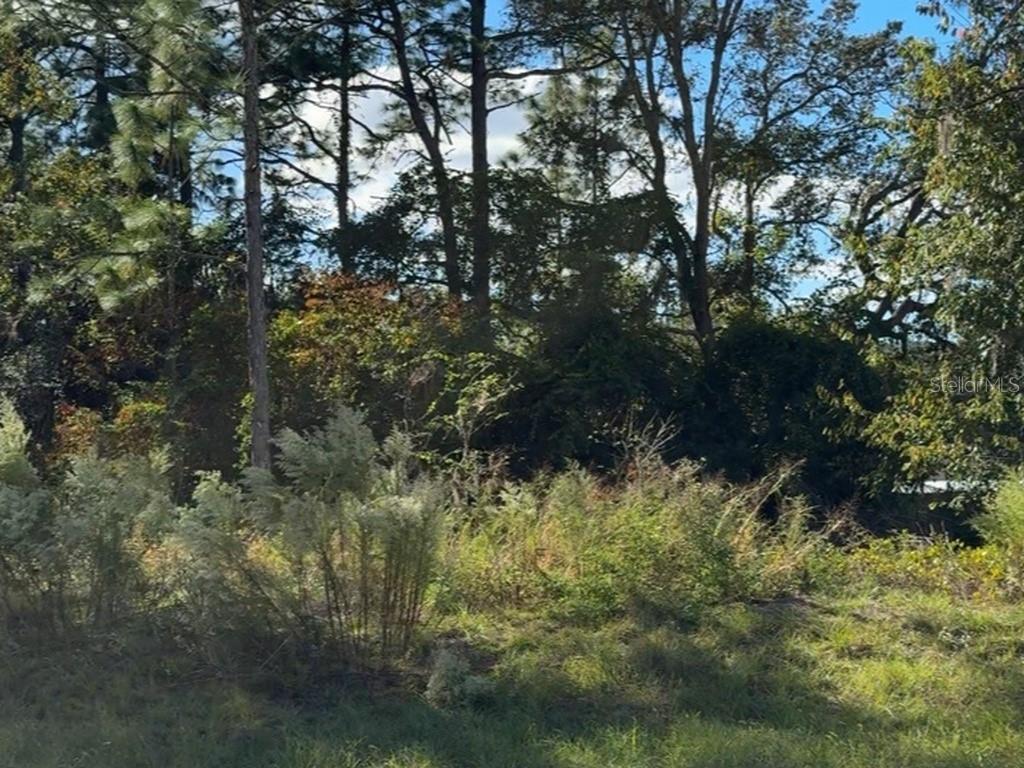 7800 N PRIMROSE DR, CITRUS SPRINGS, FL