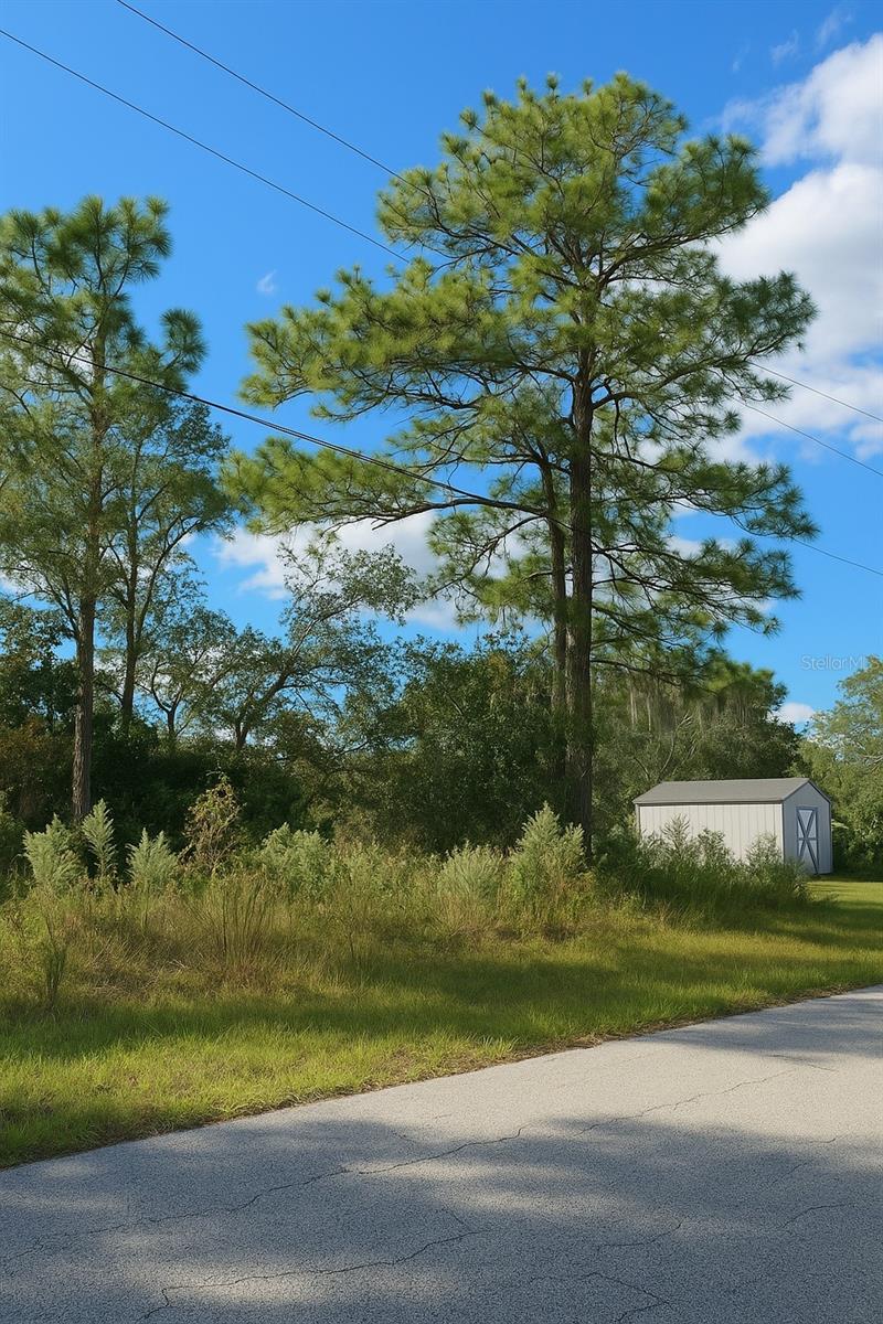 7800 N PRIMROSE DR, CITRUS SPRINGS, FL — photo 2
