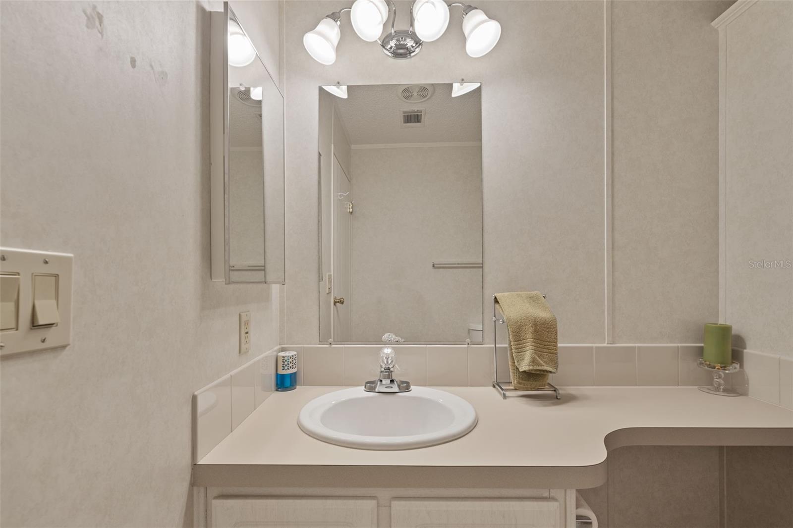 3031 MOSS HILL ST, WESLEY CHAPEL, FL — photo 15