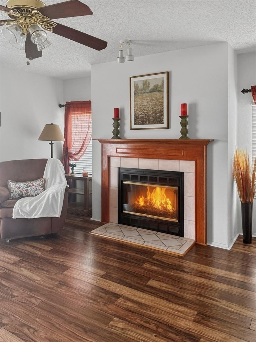 3031 MOSS HILL ST, WESLEY CHAPEL, FL — photo 5