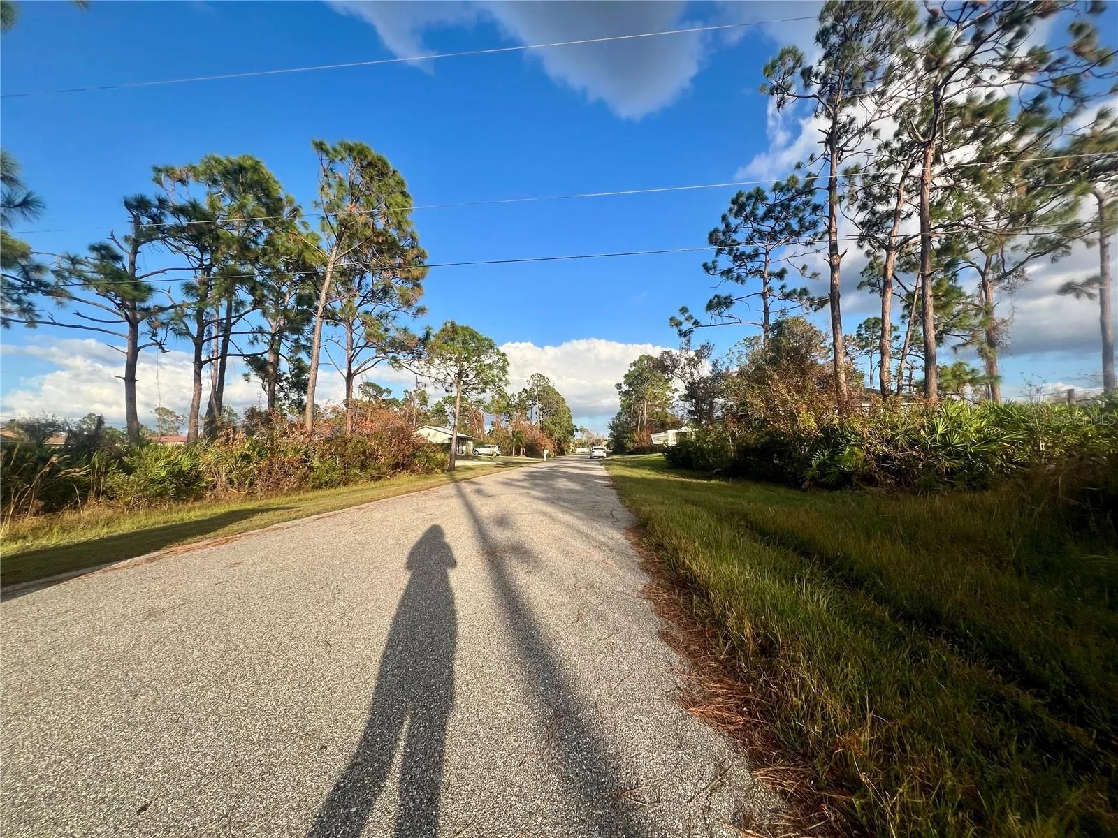 13041 FELDMAN AVE, PORT CHARLOTTE, FL — photo 3