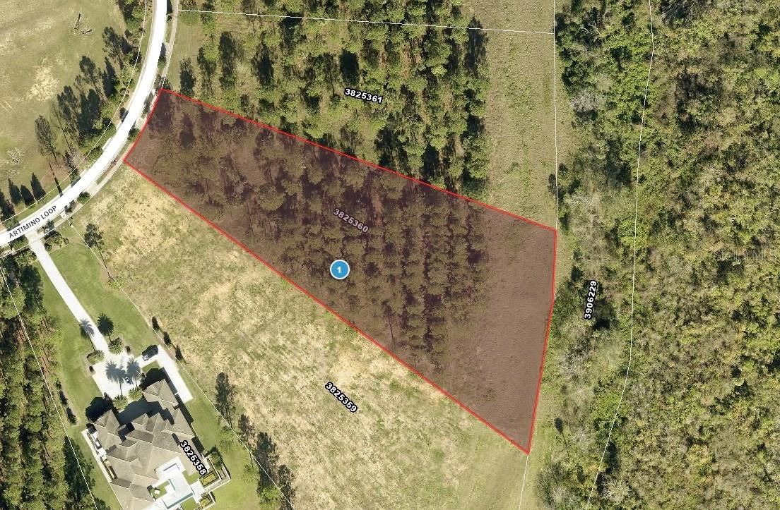 16842 ARTIMINO LOOP, MONTVERDE, FL — photo 11
