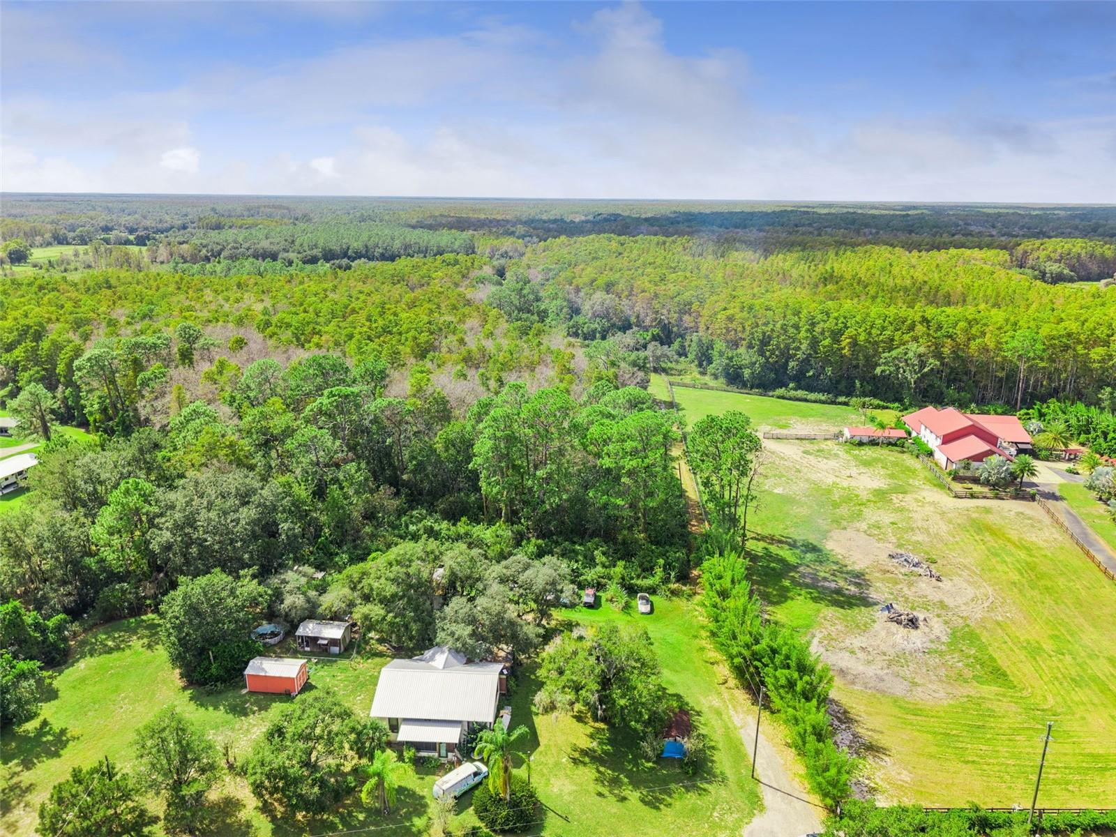 8449 BAY LAKE RD, GROVELAND, FL — photo 12