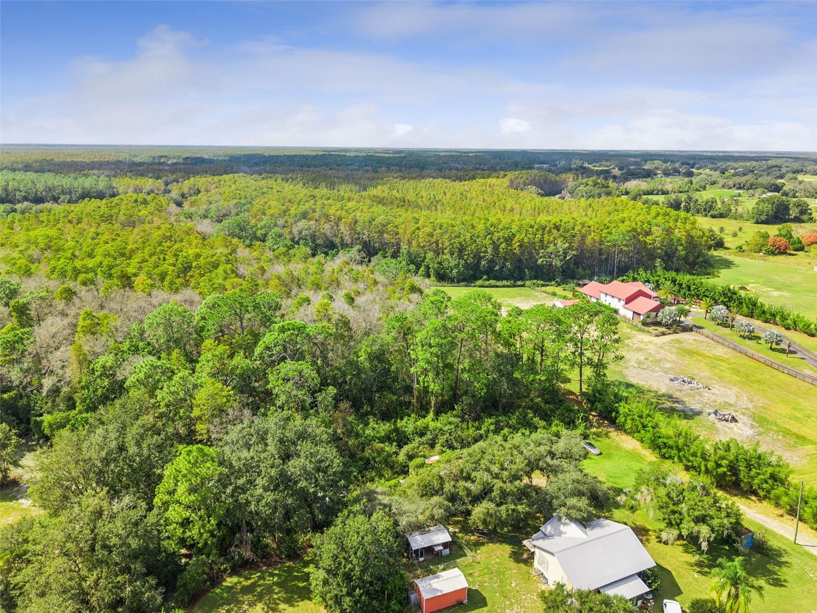8449 BAY LAKE RD, GROVELAND, FL — photo 13