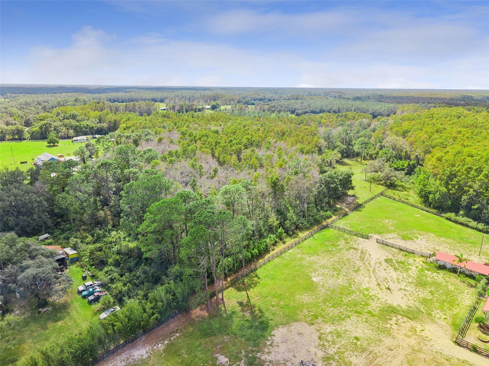 8449 BAY LAKE RD, GROVELAND, FL — photo 15