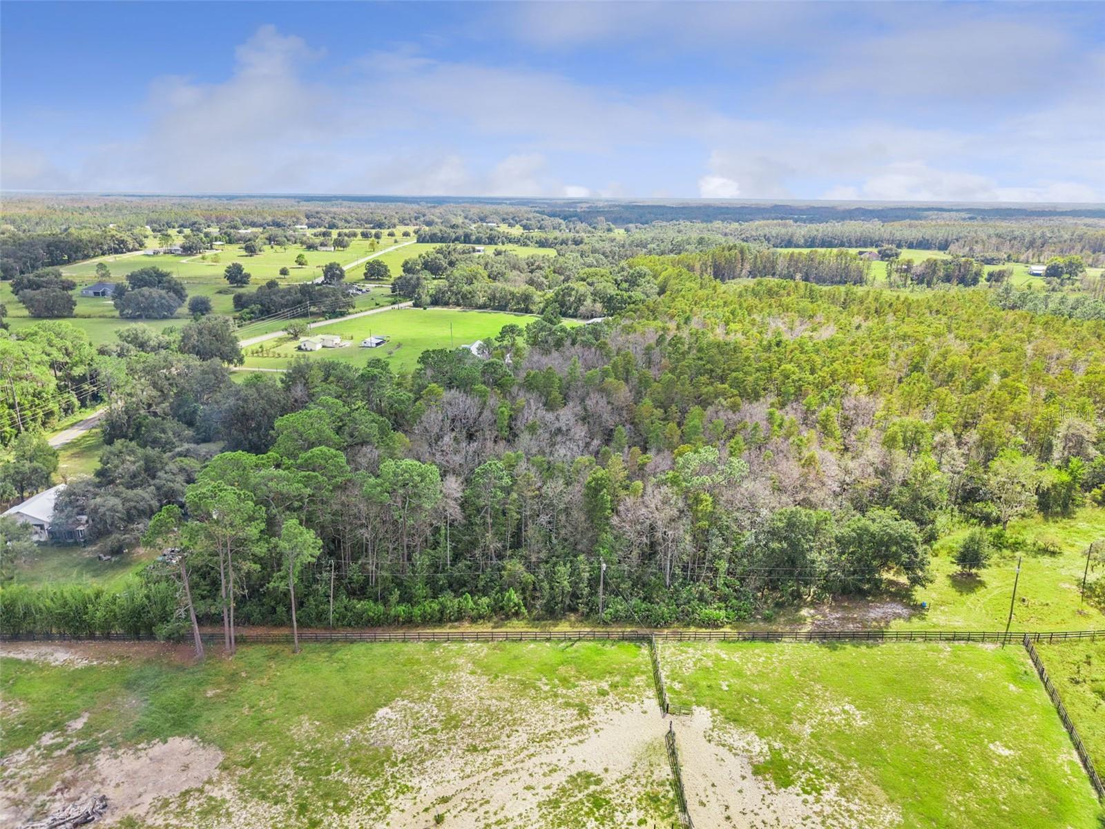 8449 BAY LAKE RD, GROVELAND, FL — photo 18