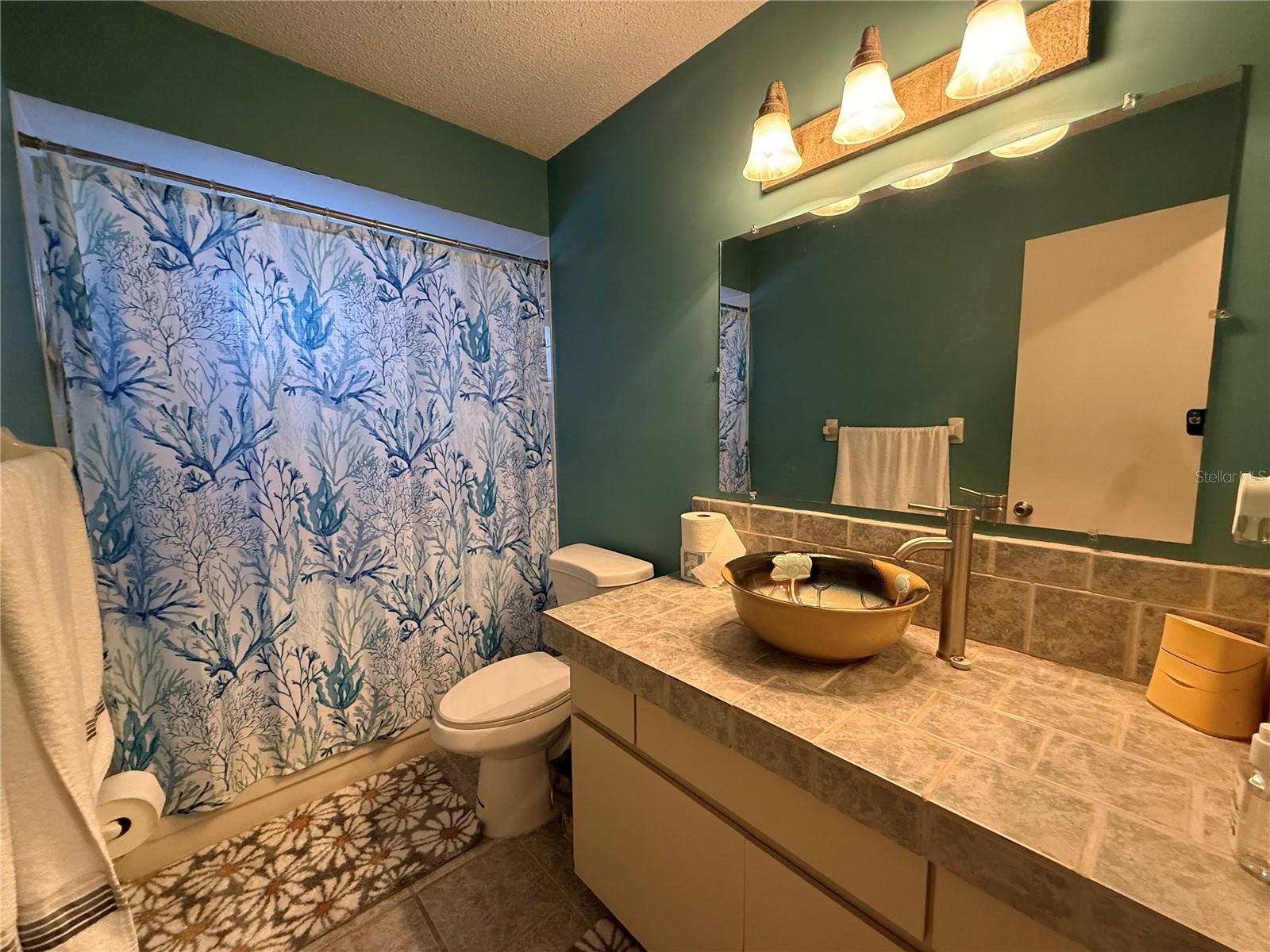 10800 SW 62ND AVE, OCALA, FL — photo 26