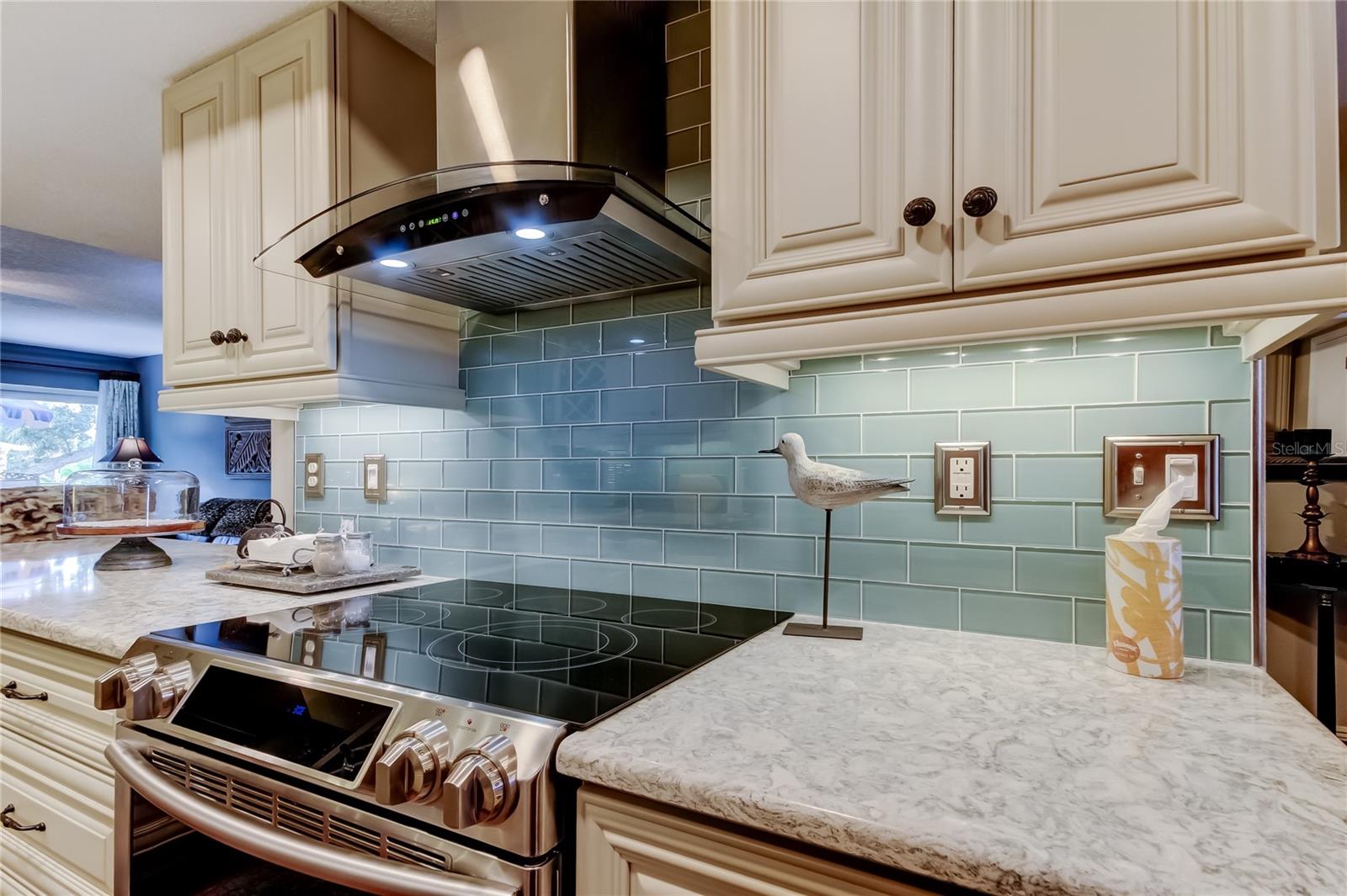433 PAULA DR S #27, DUNEDIN, FL — photo 9