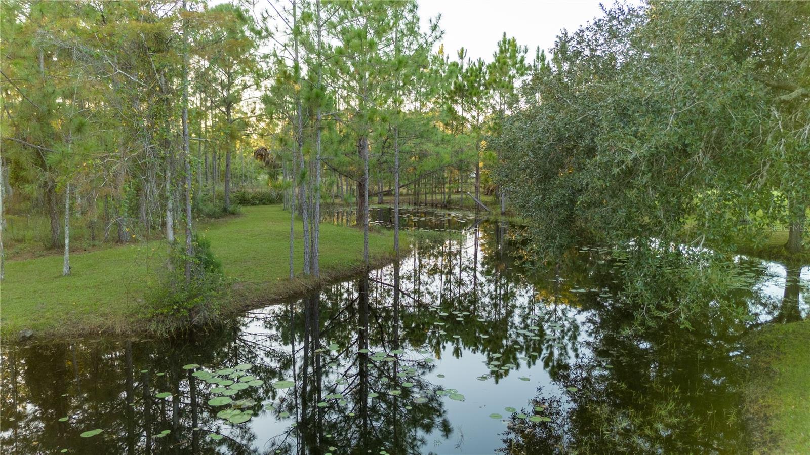 20107 STARRY ST, ORLANDO, FL — photo 43
