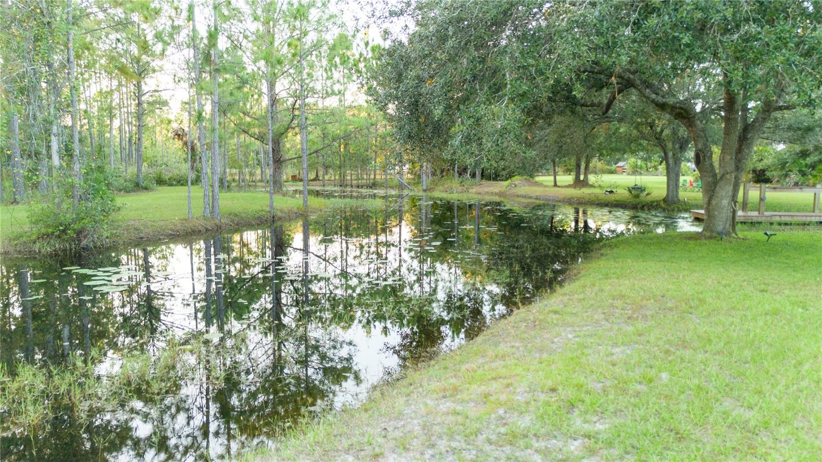 20107 STARRY ST, ORLANDO, FL — photo 45