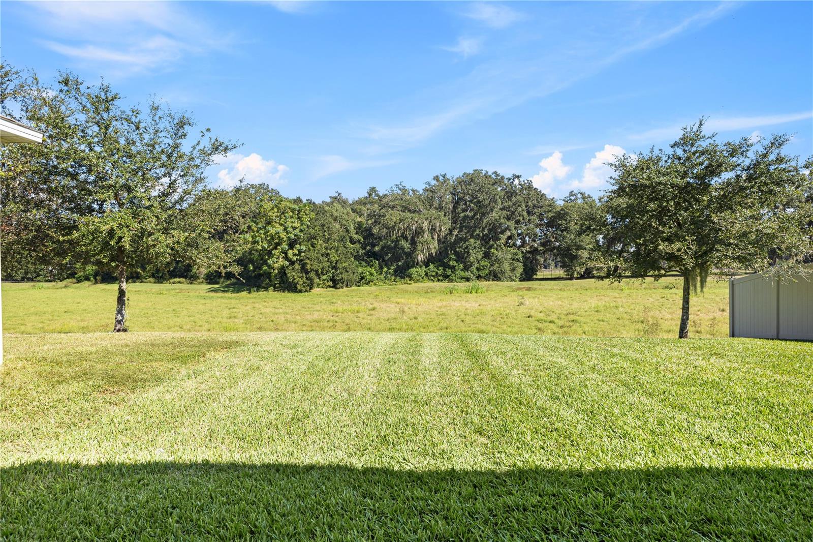 3090 TIMBER HAWK CIR, OCOEE, FL — photo 40