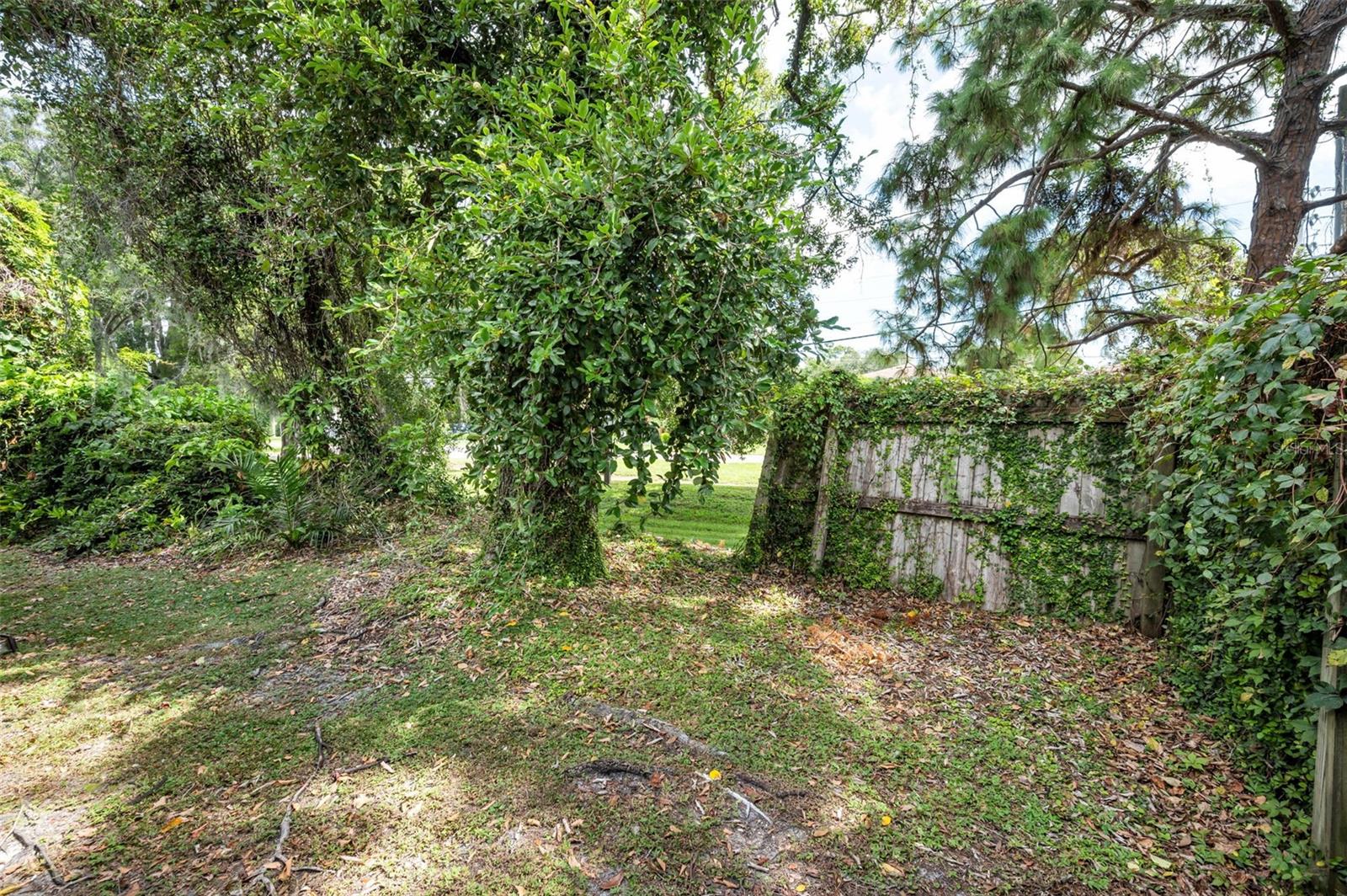 1890 WOLFORD RD #3, CLEARWATER, FL — photo 39